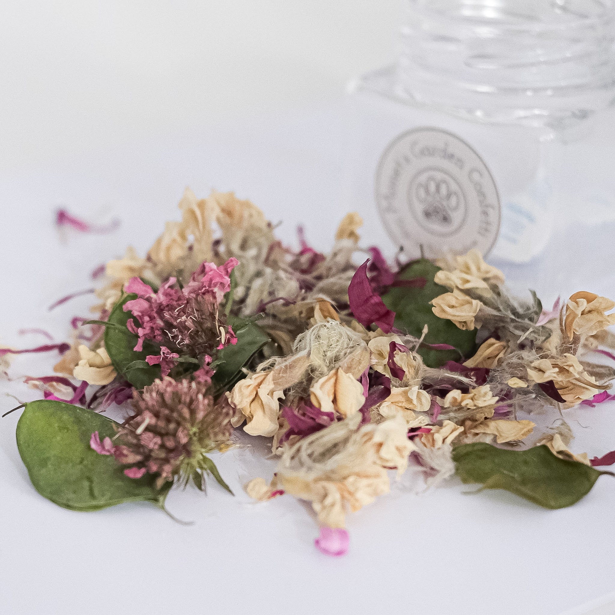 monet's garden confetti jar | dogs in the meadow