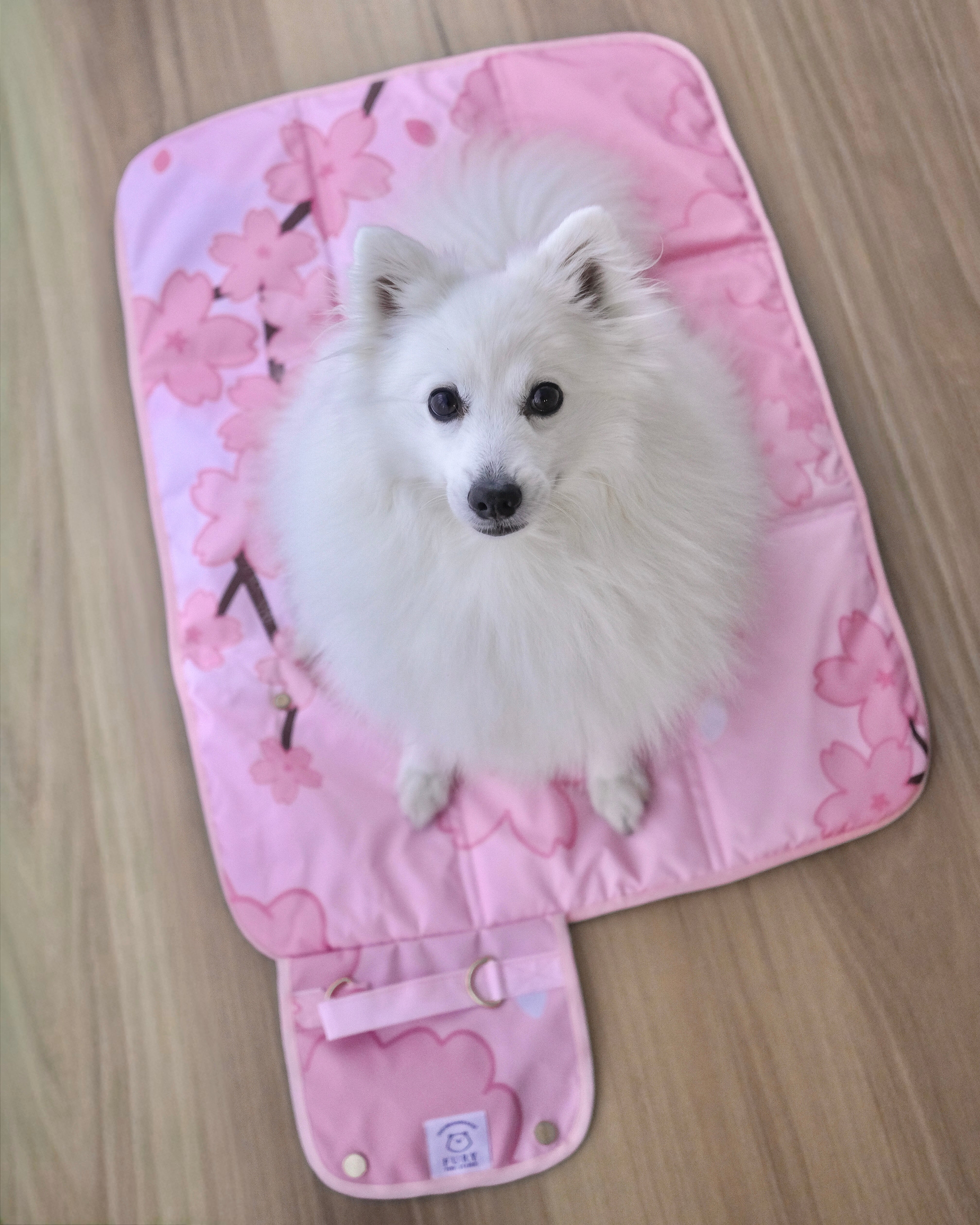 cherry blossoms settle mat