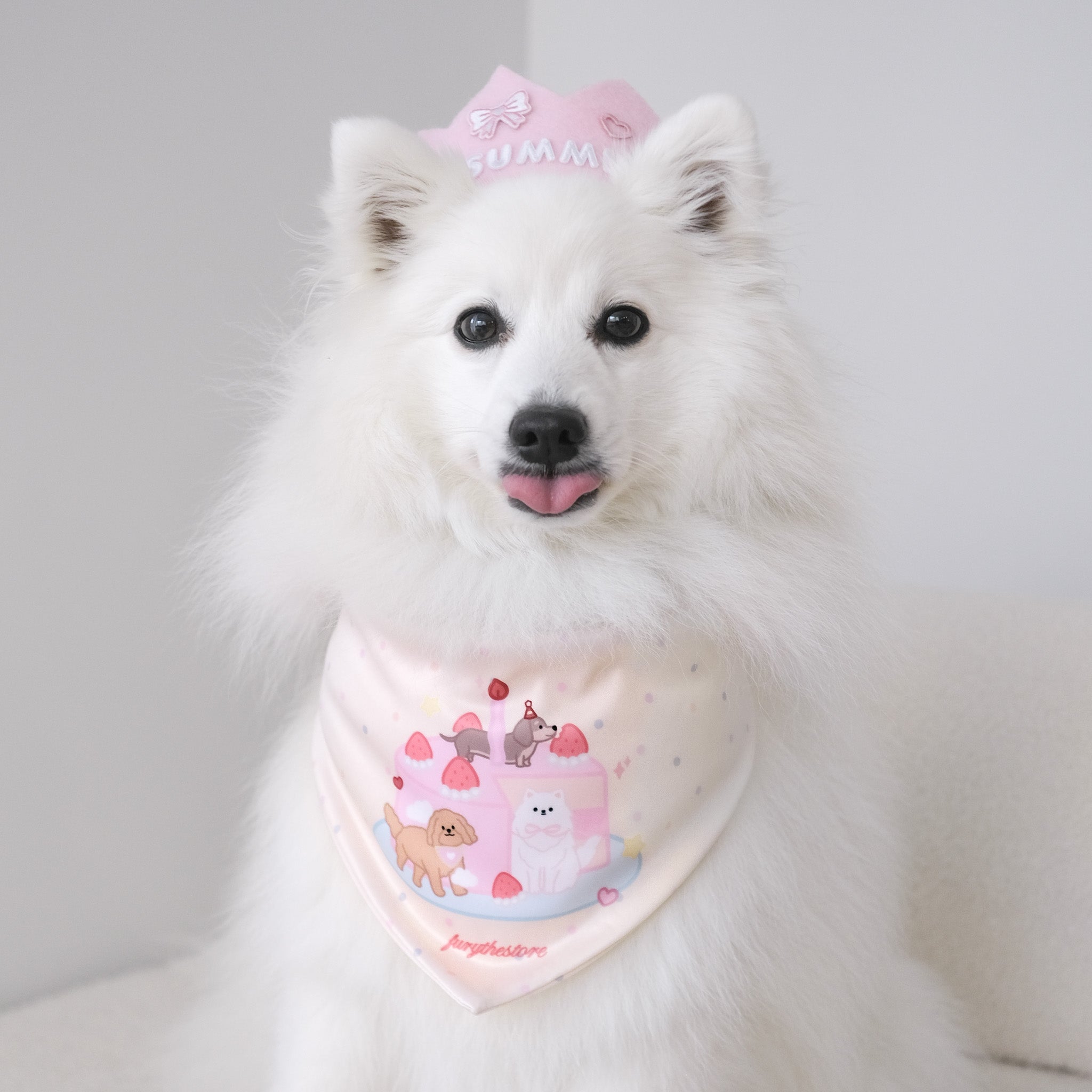 the birthday bandana