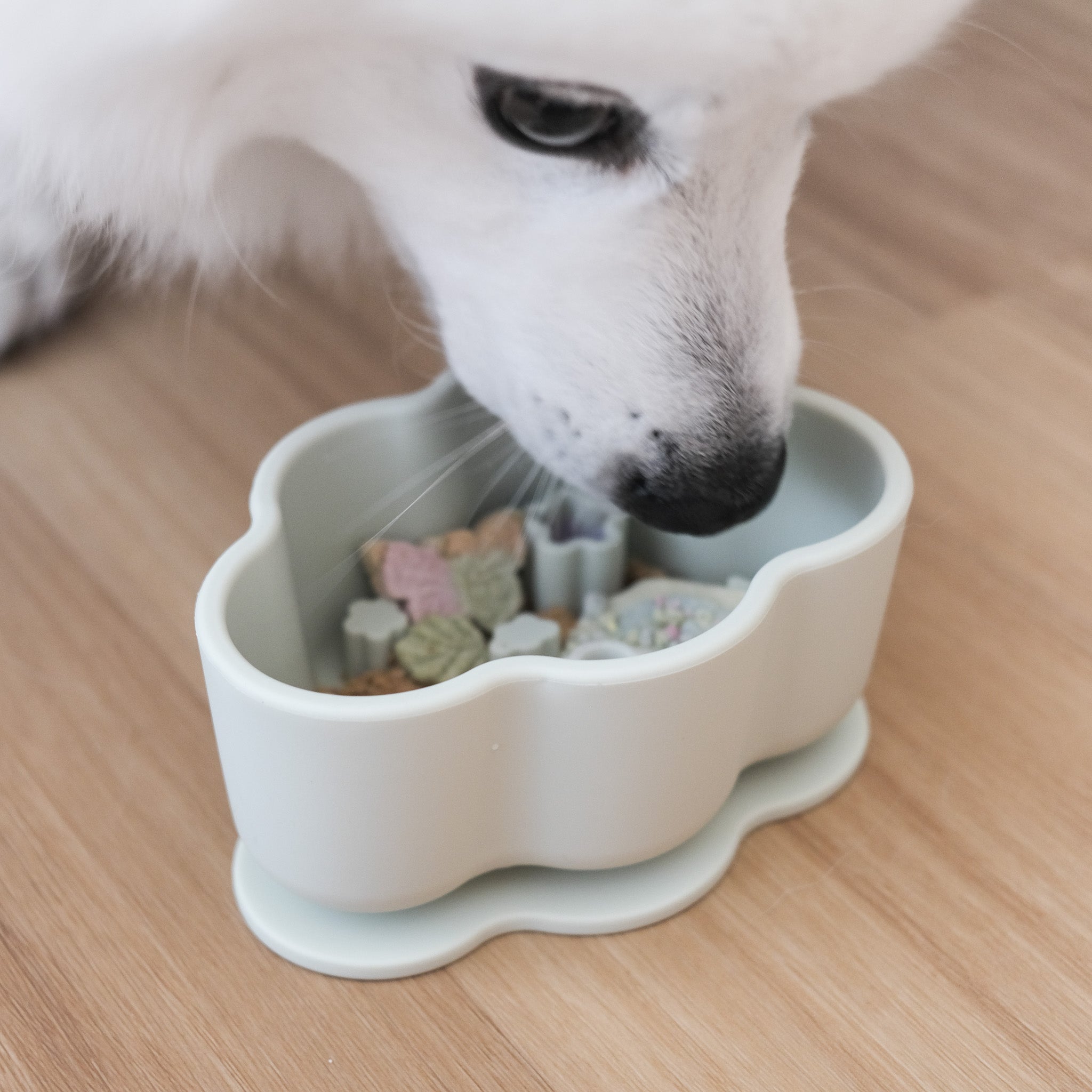 nimbus forage feeder set in matcha