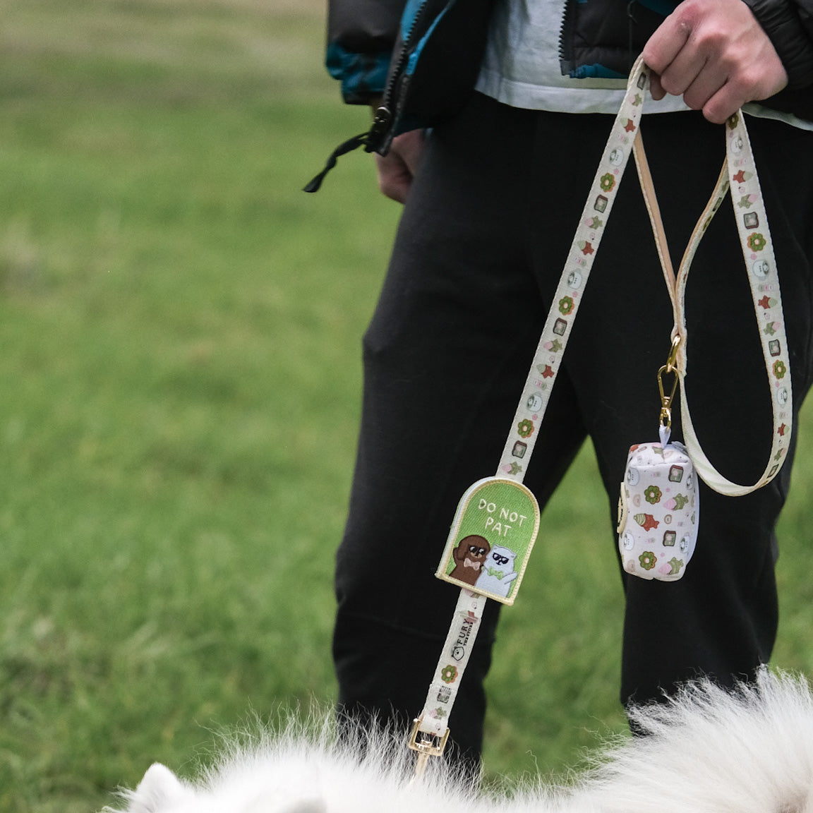 the tokyo leash