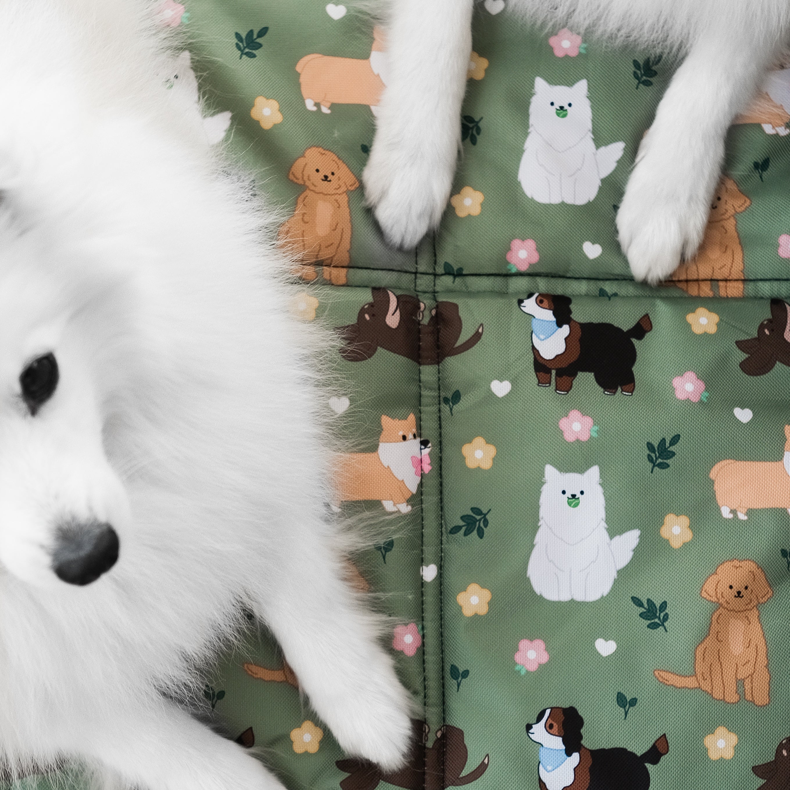 dogs at the park settle mat