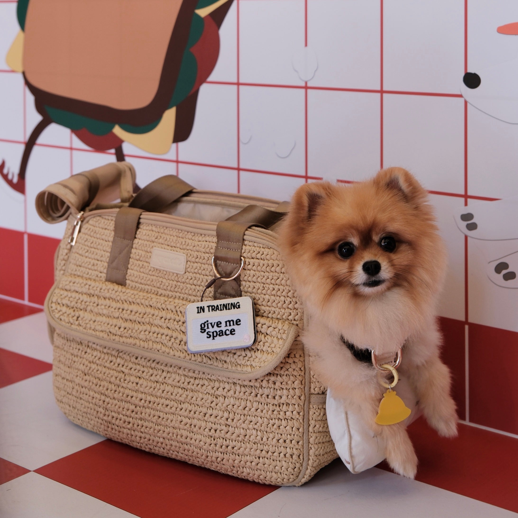 in training attachable patch