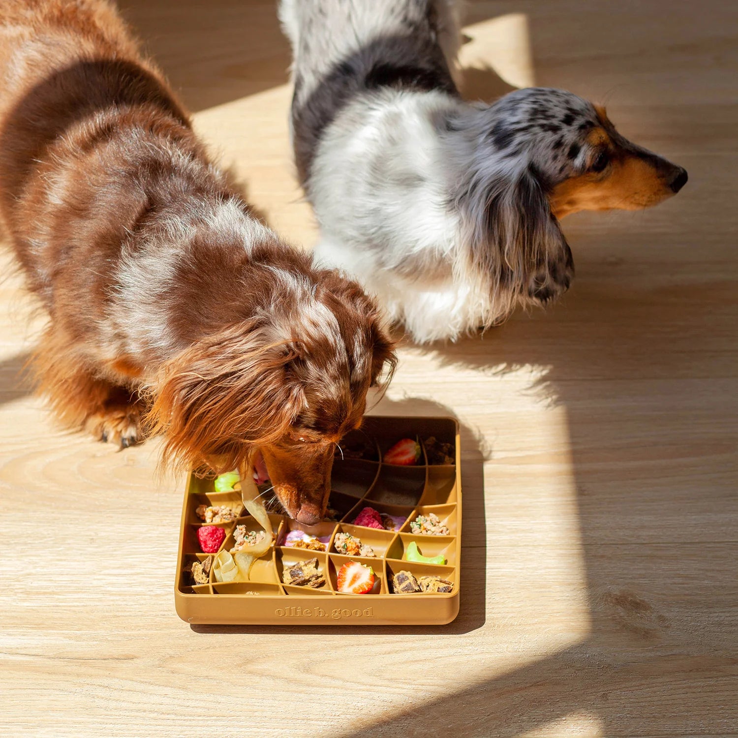 wavies slow feeder bowl | ollie b good