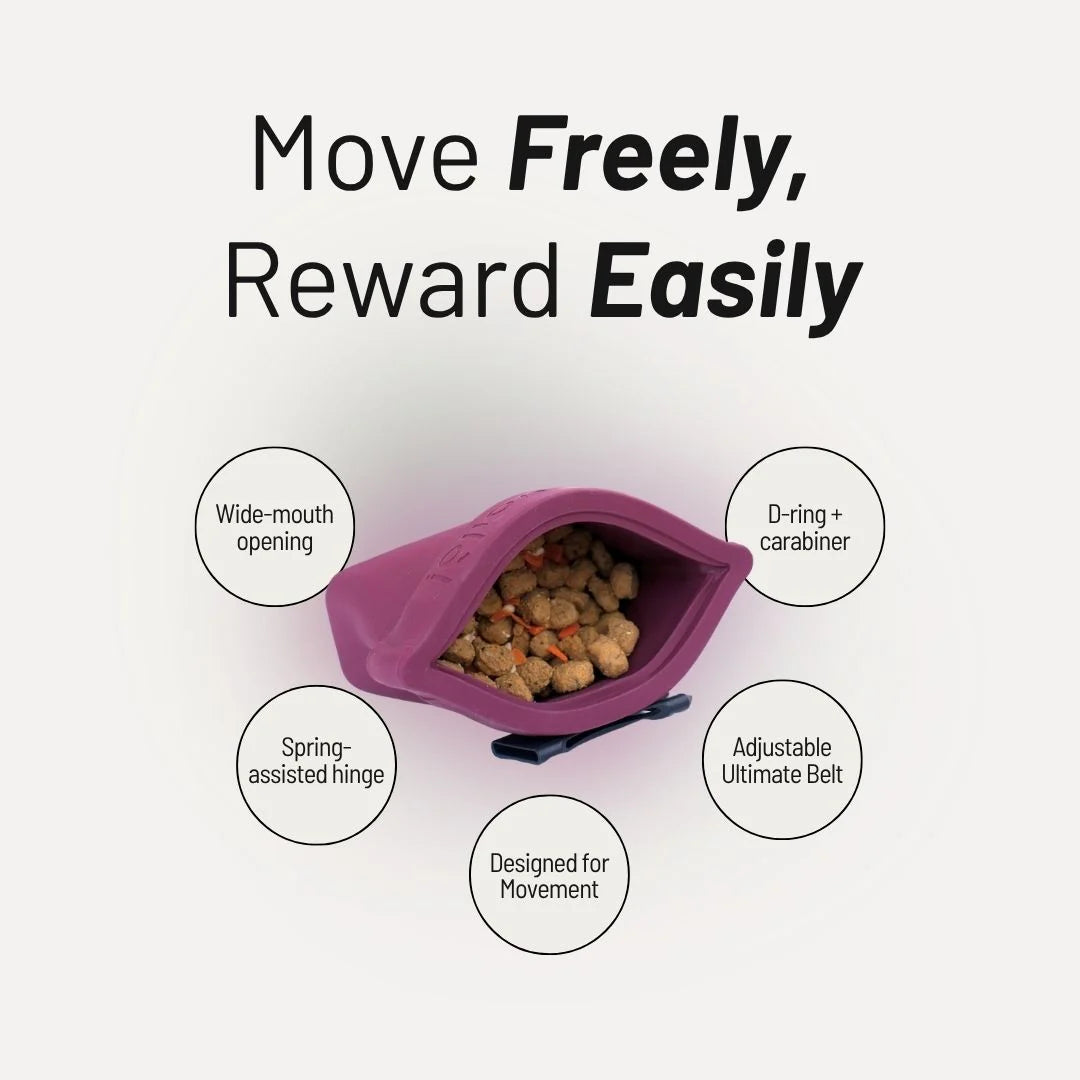 voila pets mini ultimate treat pouch