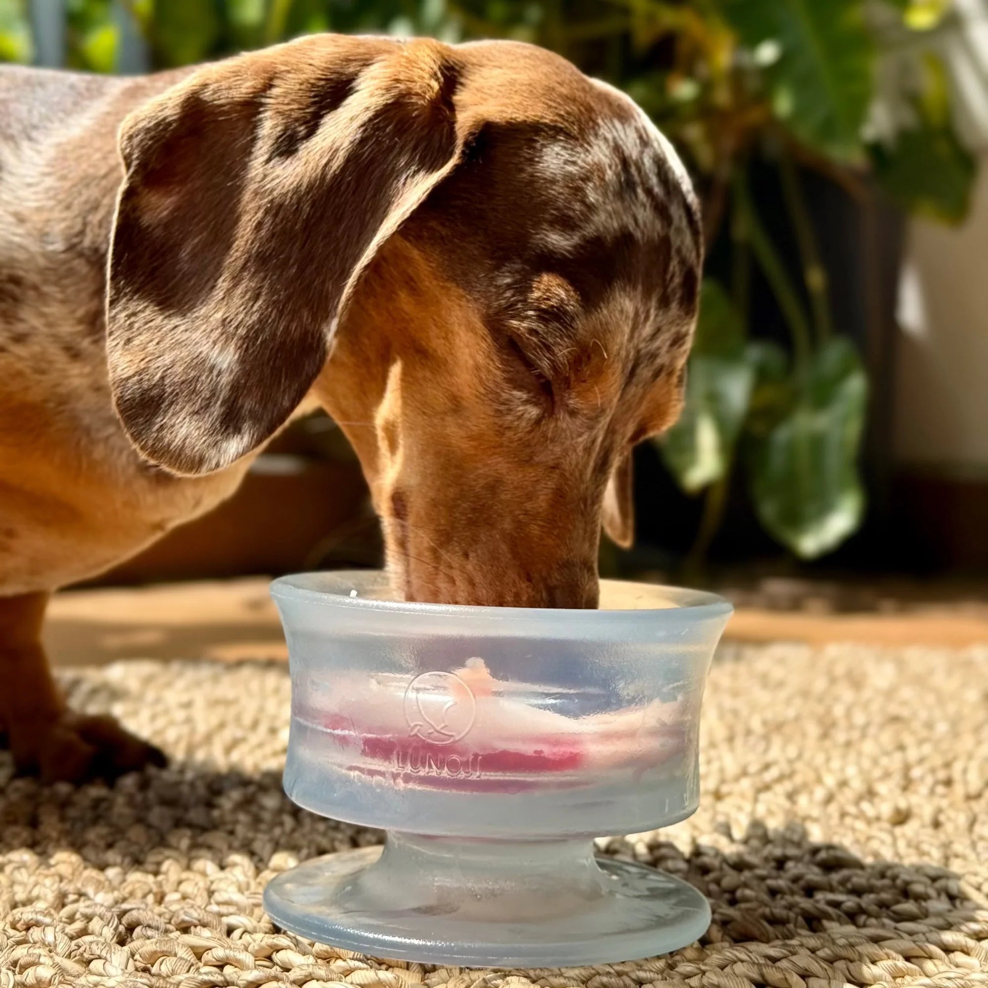 lunoji trove in glacier ice