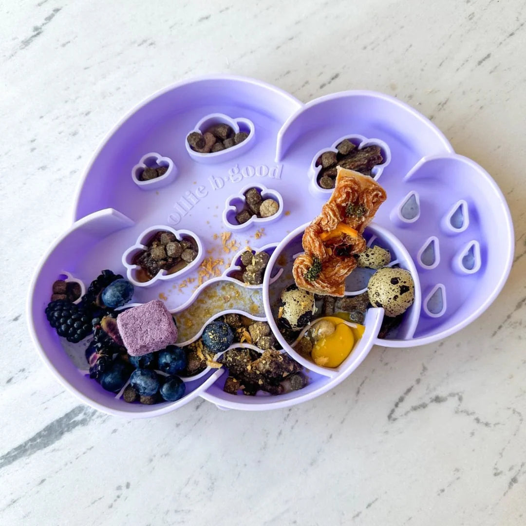 cloud slow feeder bowl | ollie b good