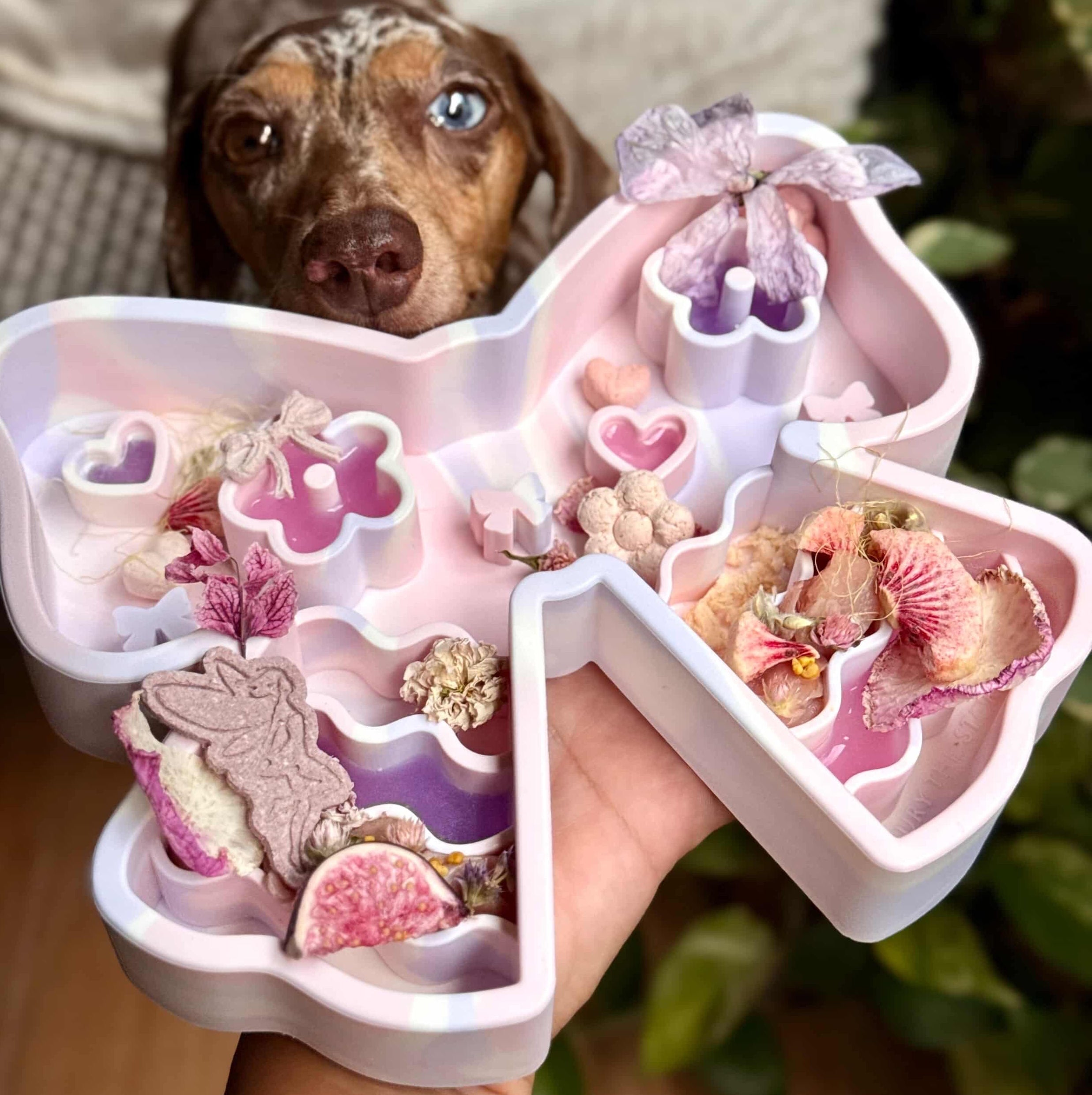 coquette forage feeder in unicorn sorbet