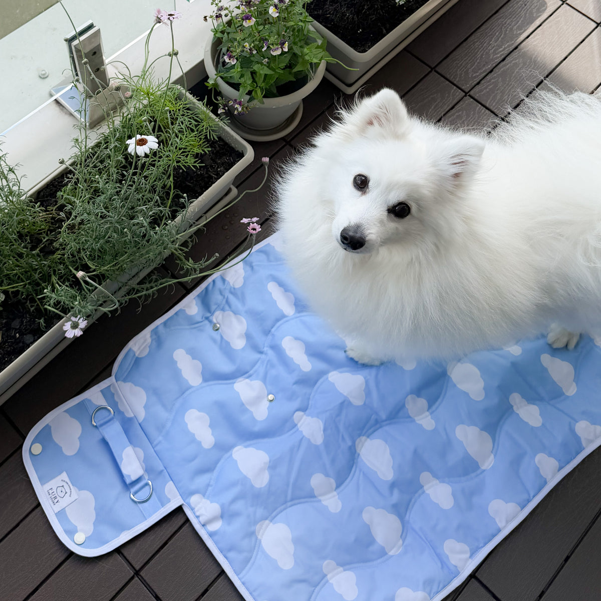 cloud settle mat