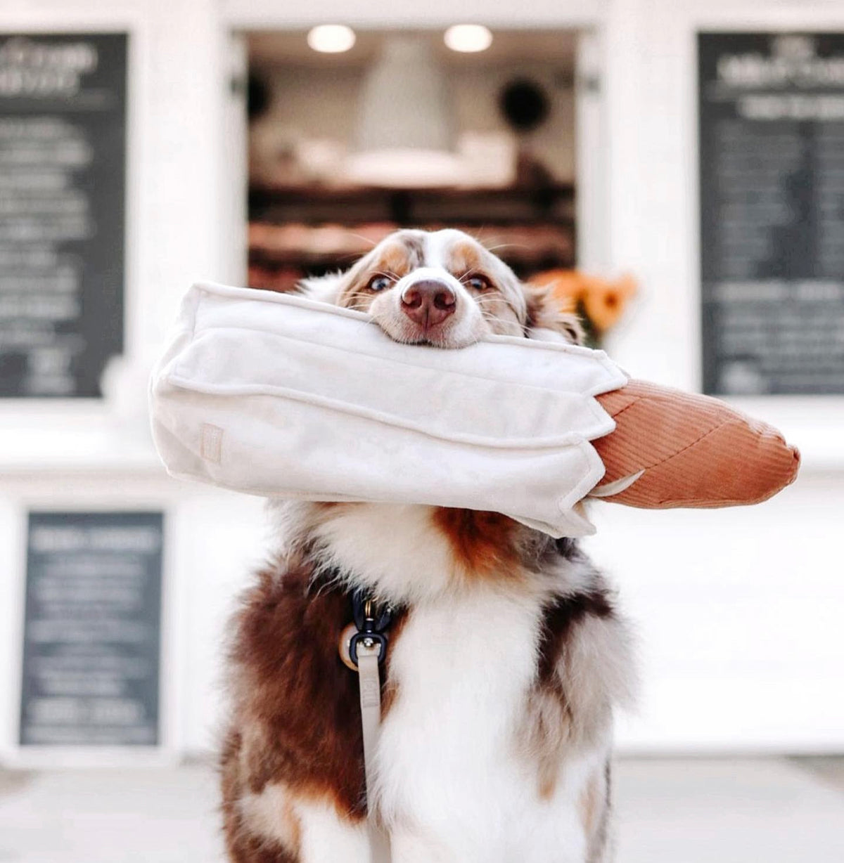 baguette snuffle toy | lambwolf co