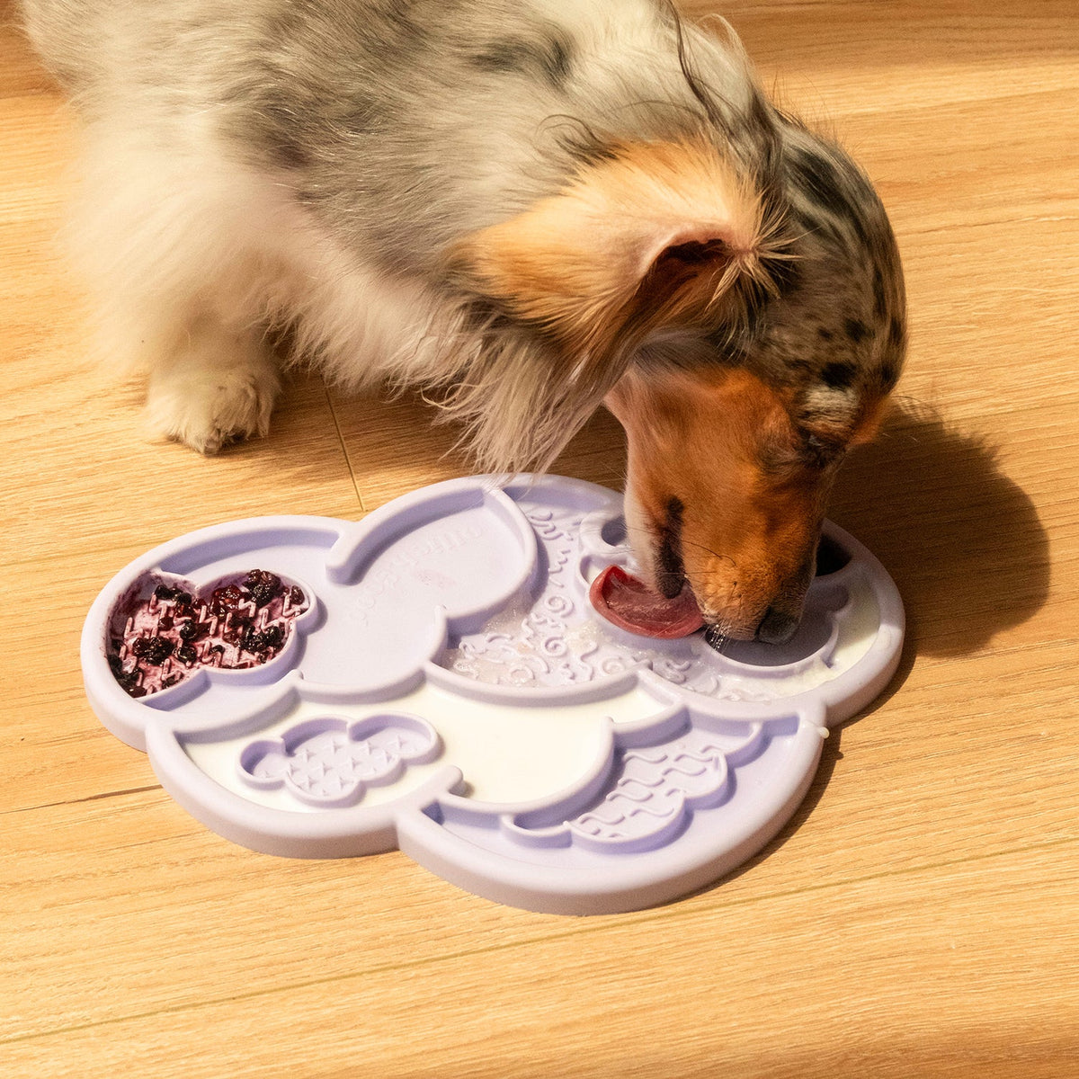 cloud nine lick mat & lid | olliebgood