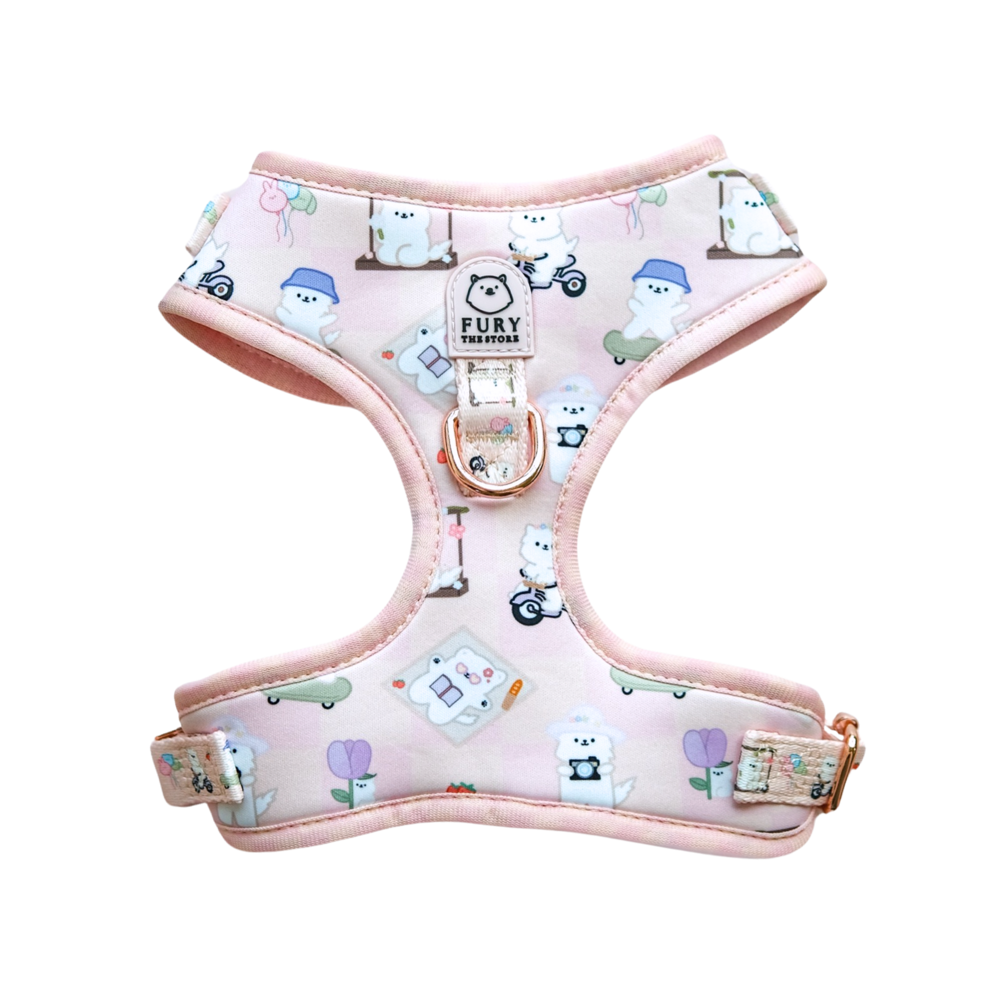 'summit in paris' harness