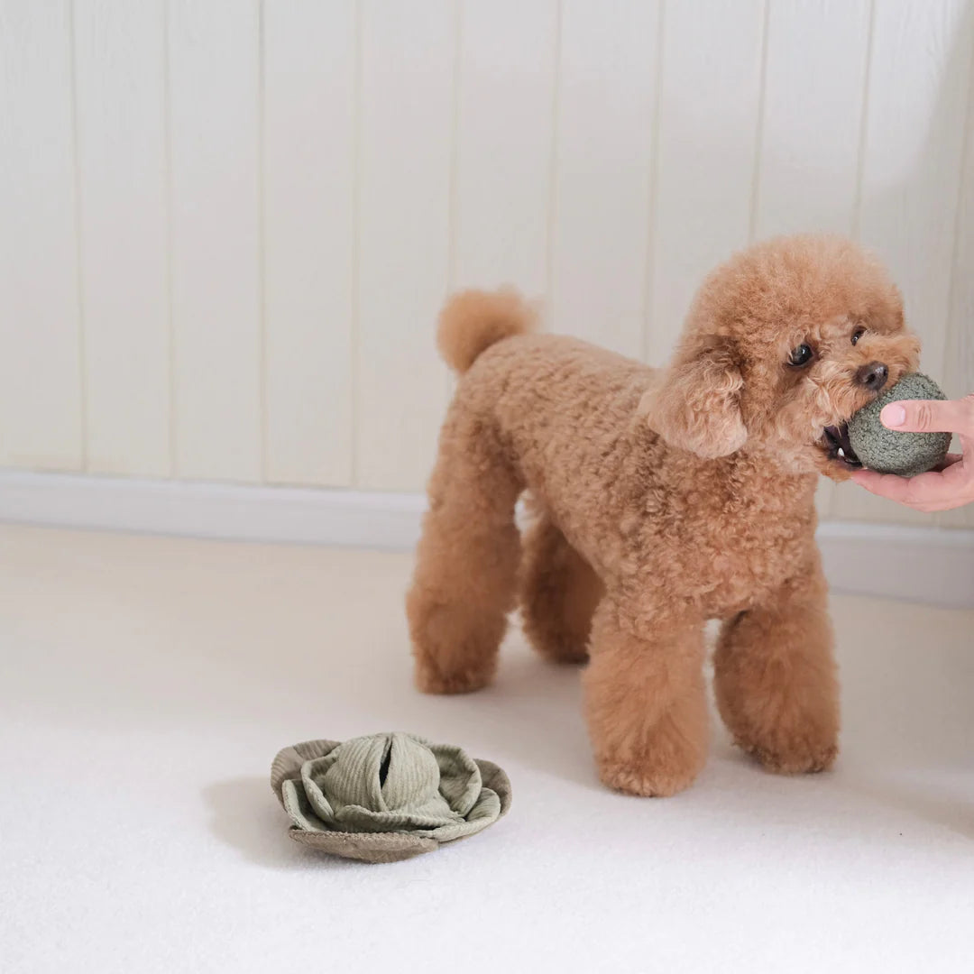 CABBAGE POP SNUFFLE TOY