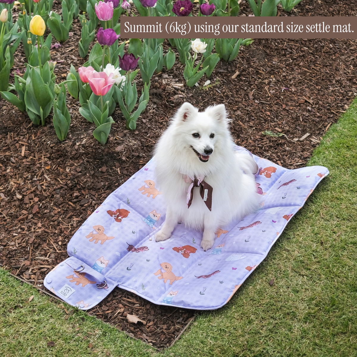 spring settle mat