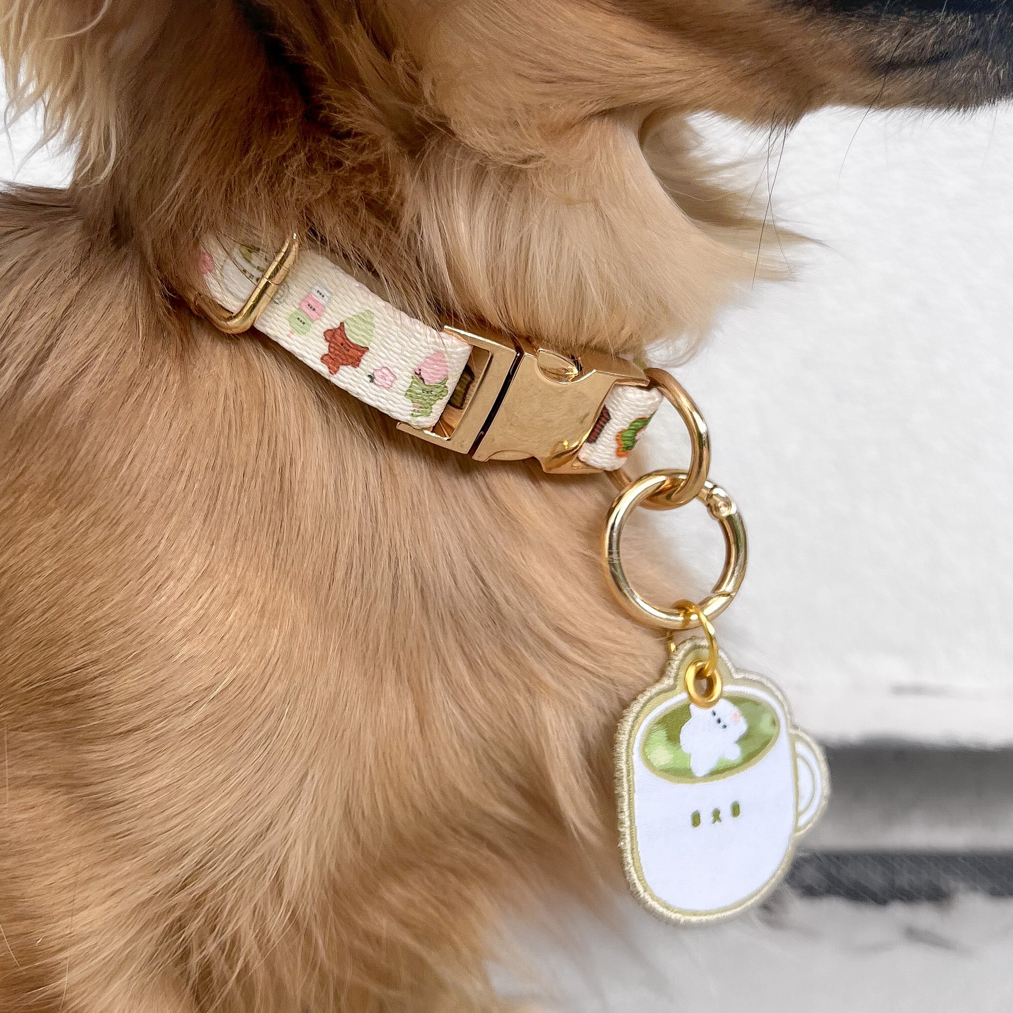 the tokyo collar