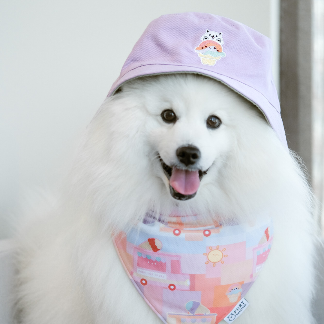 summertime reversible bucket hat