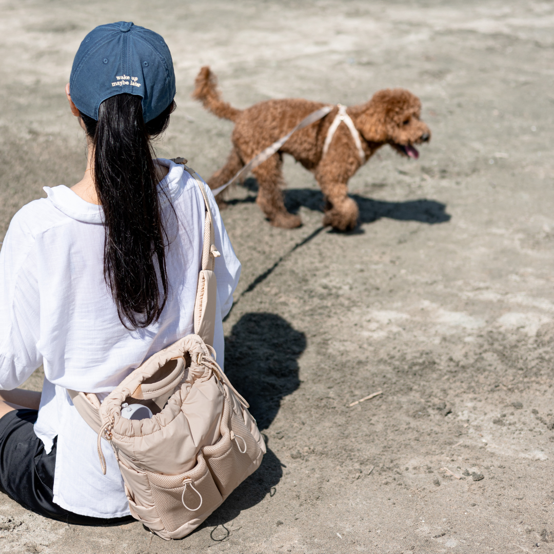 everyday dog walking bag / latte