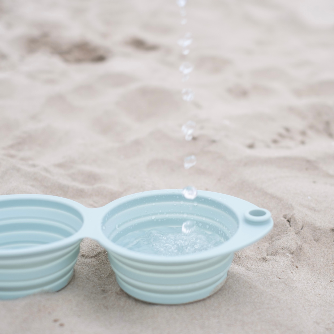 the sluurp bowl
