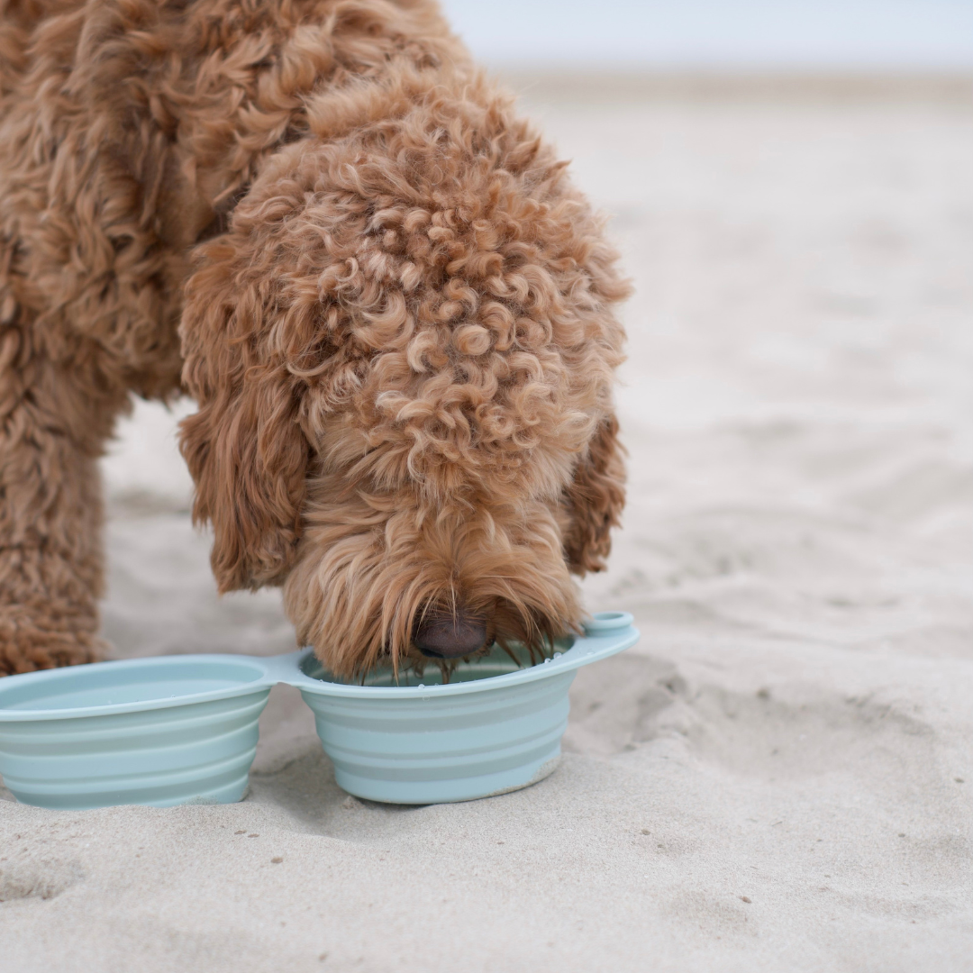 the sluurp bowl