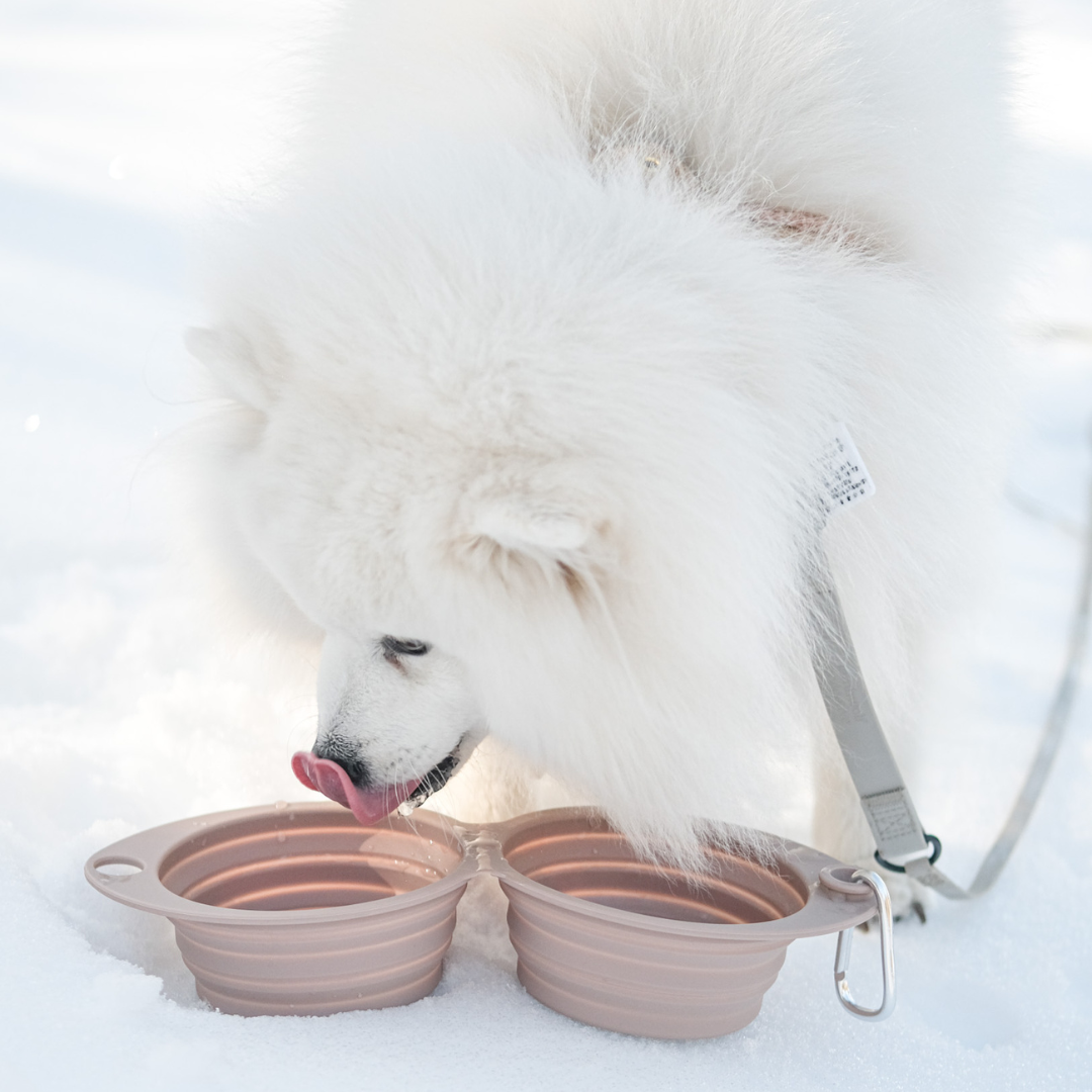 the sluurp bowl