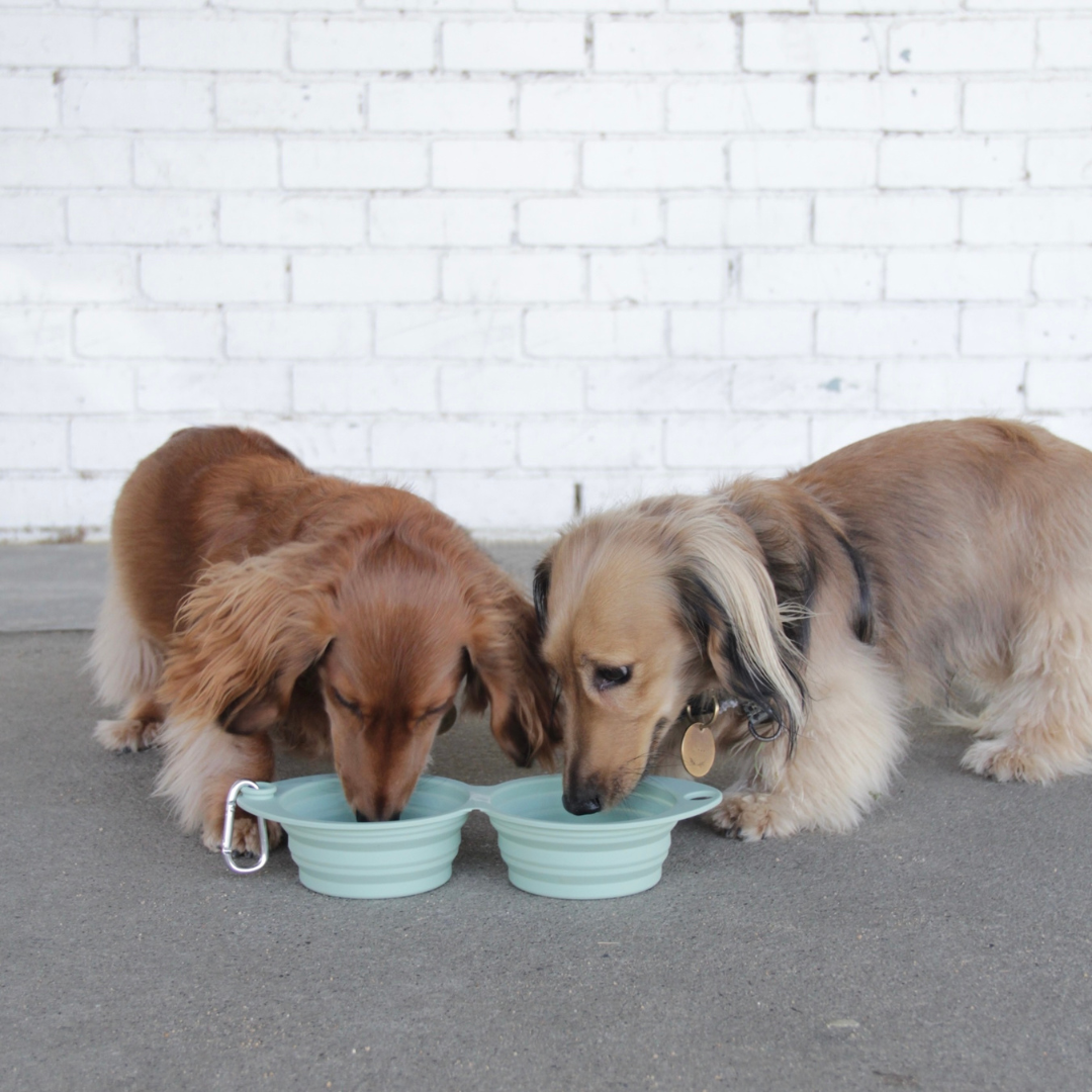 the sluurp bowl