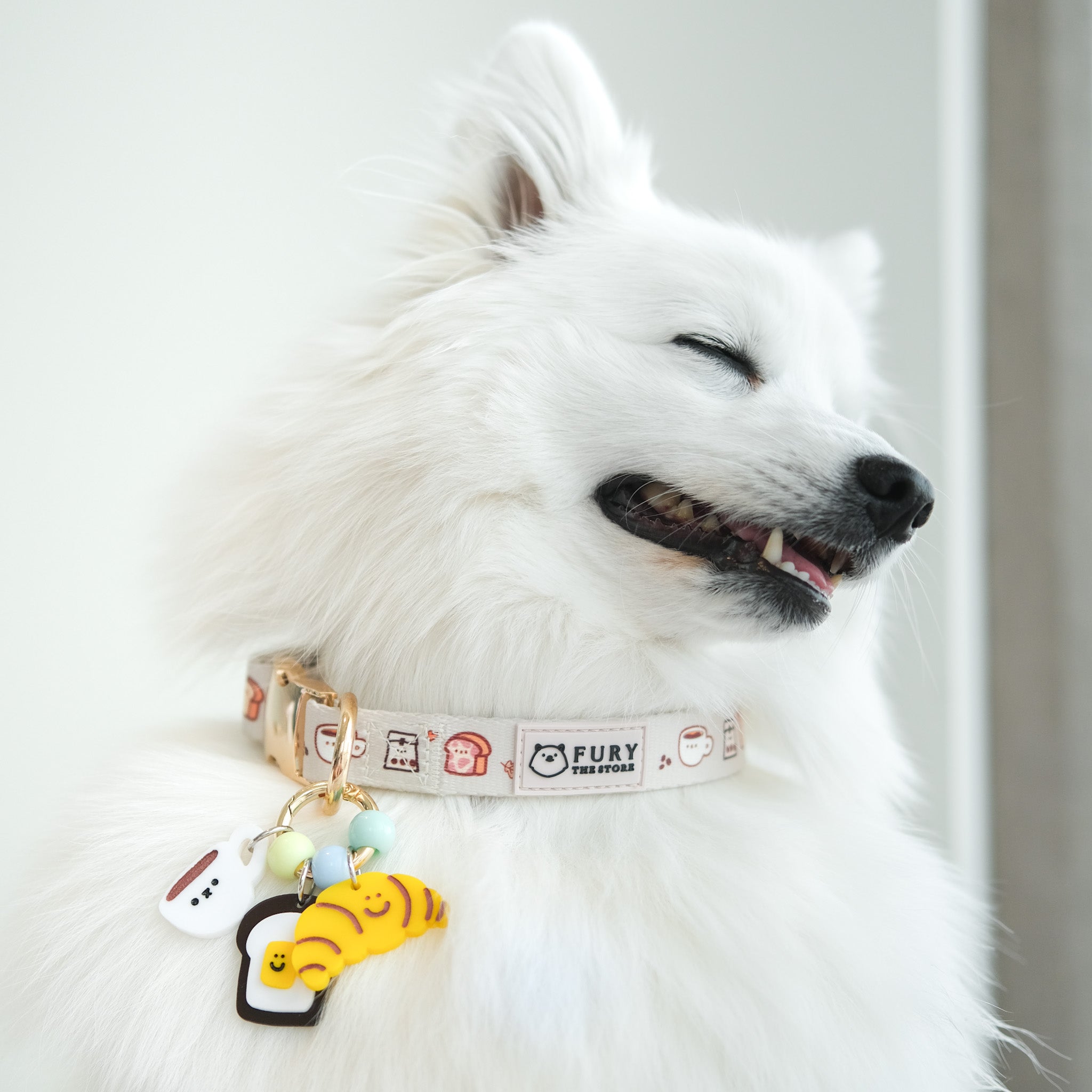 the melbourne collar