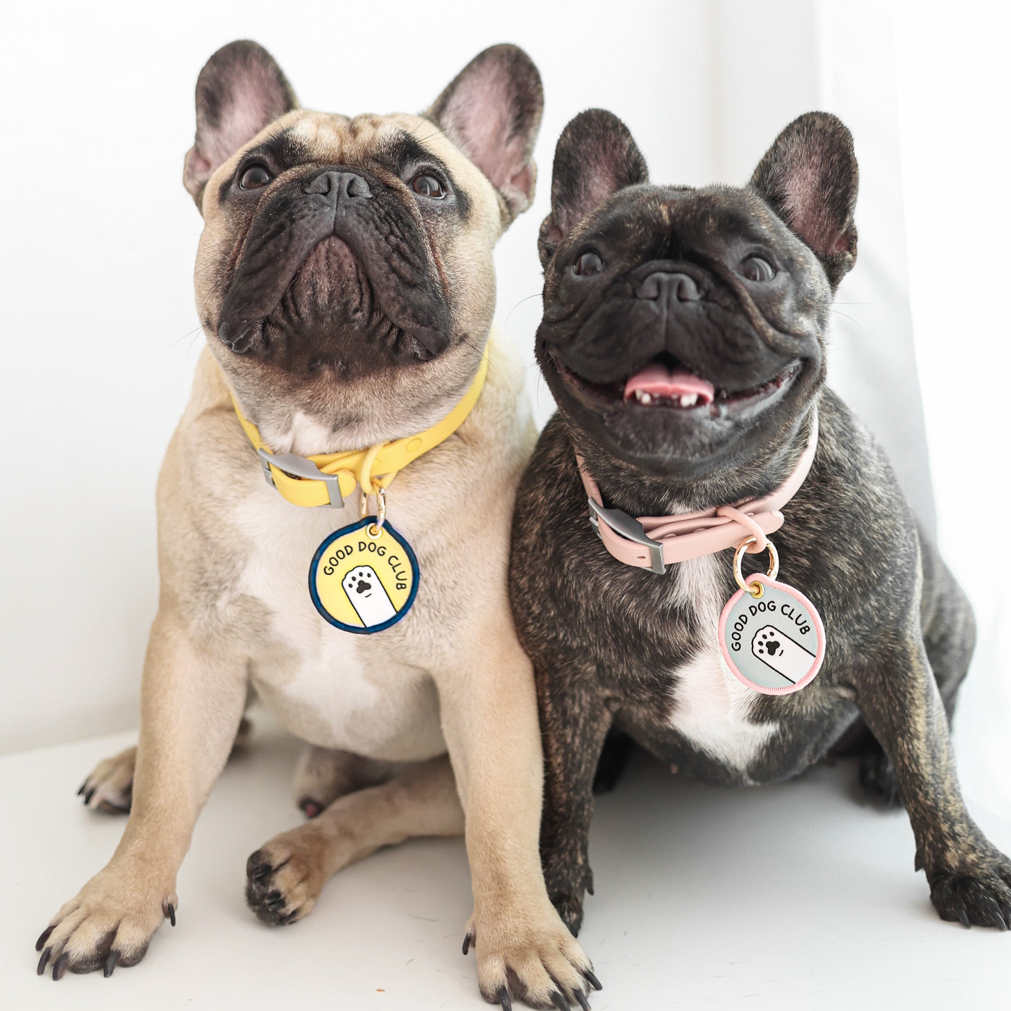 the good dog tag (fury)