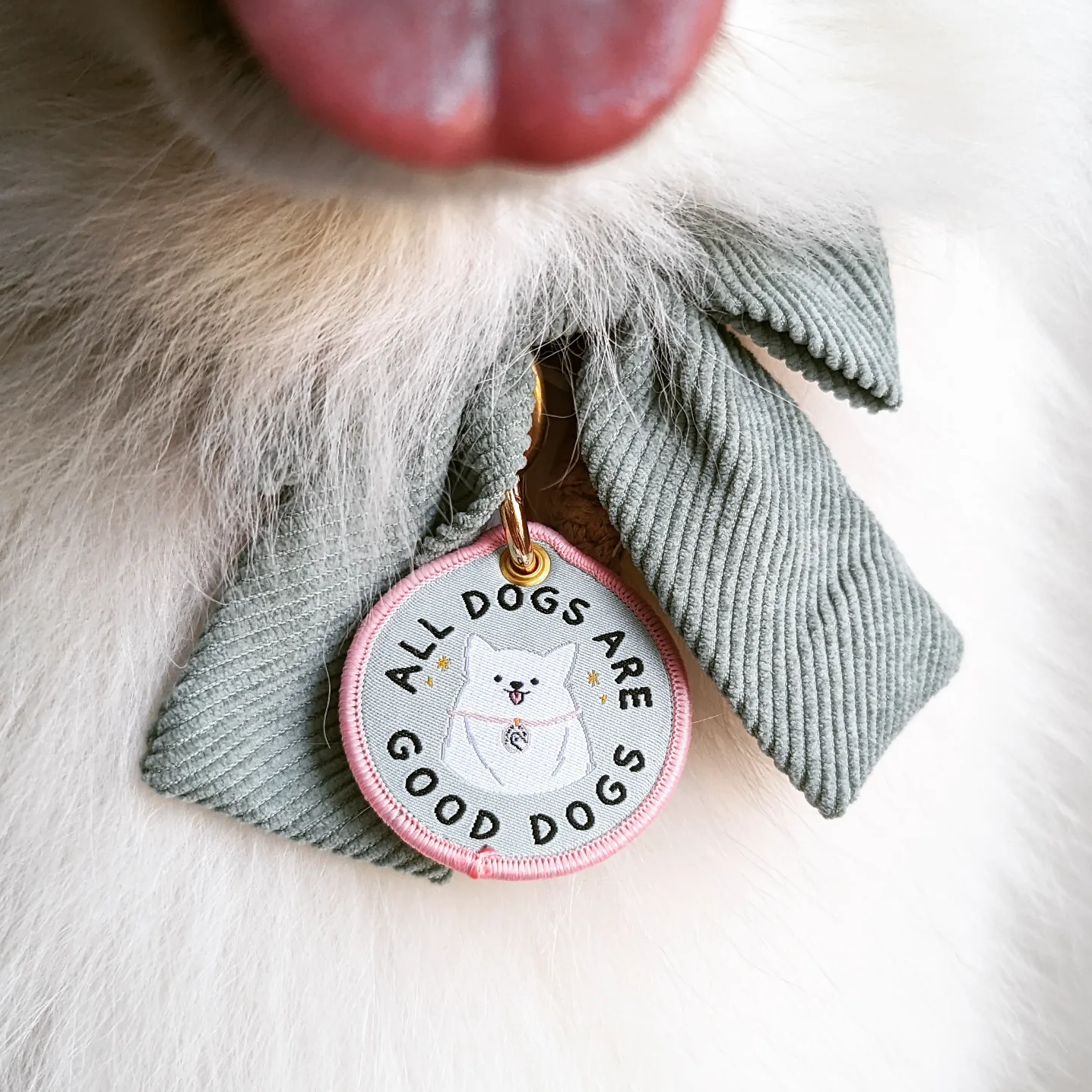 the good dog tag (summit)