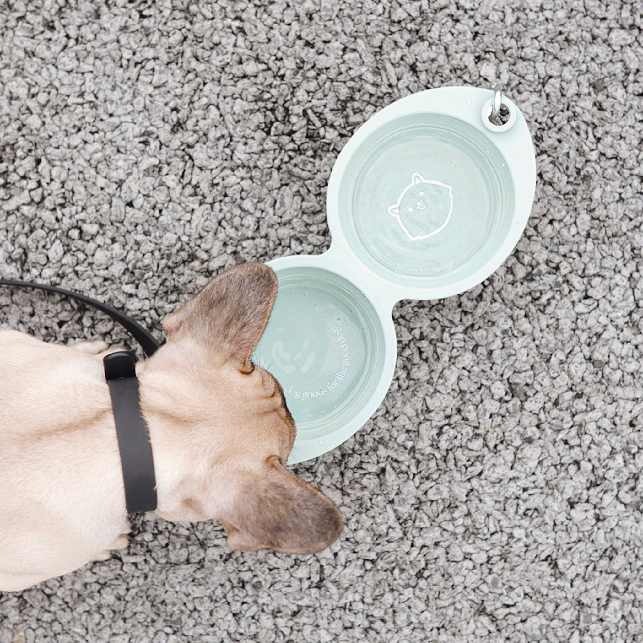 the sluurp bowl