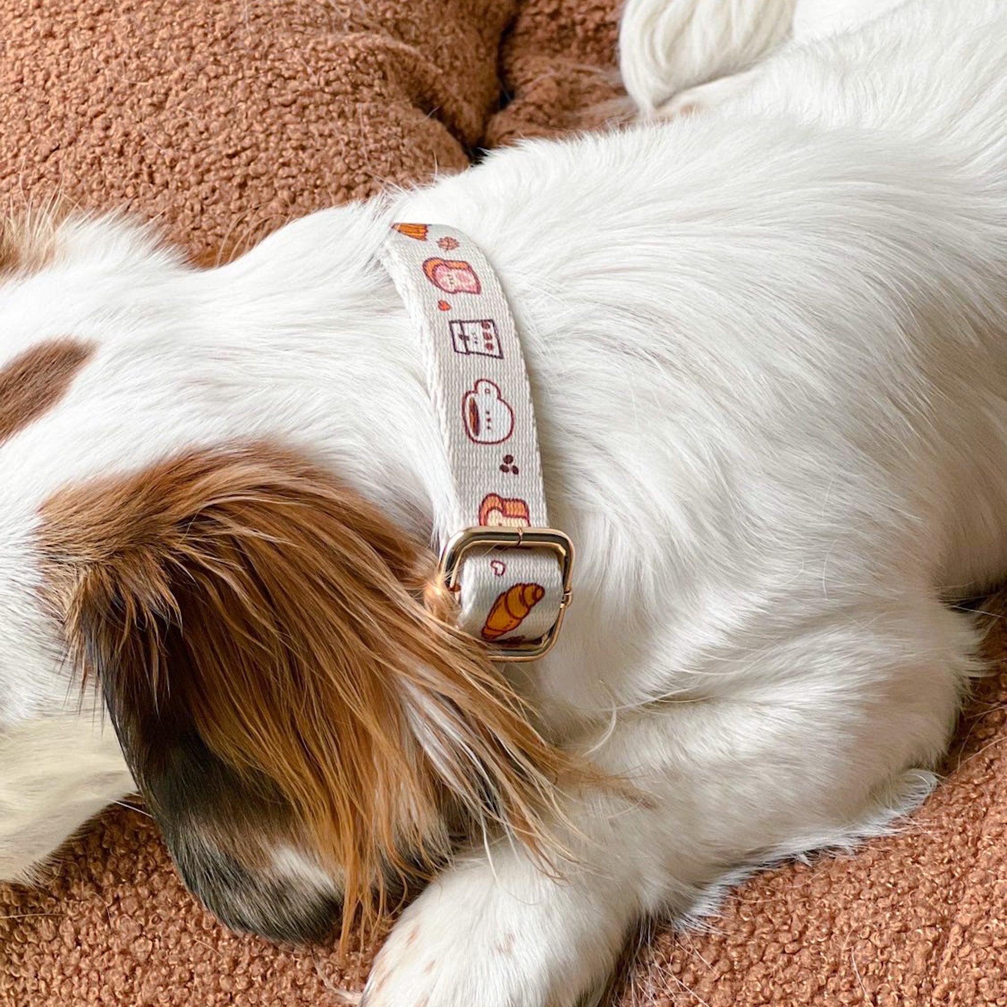 the melbourne collar