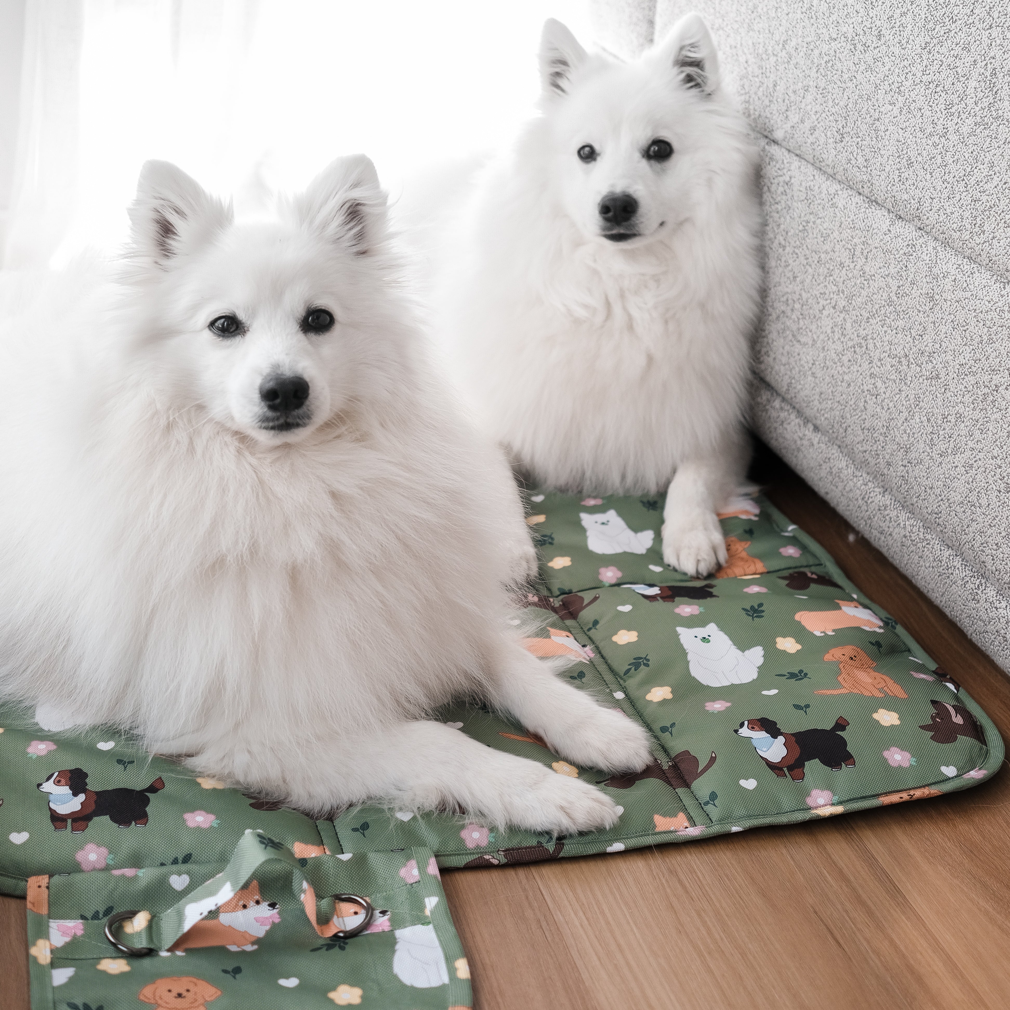 dogs at the park settle mat