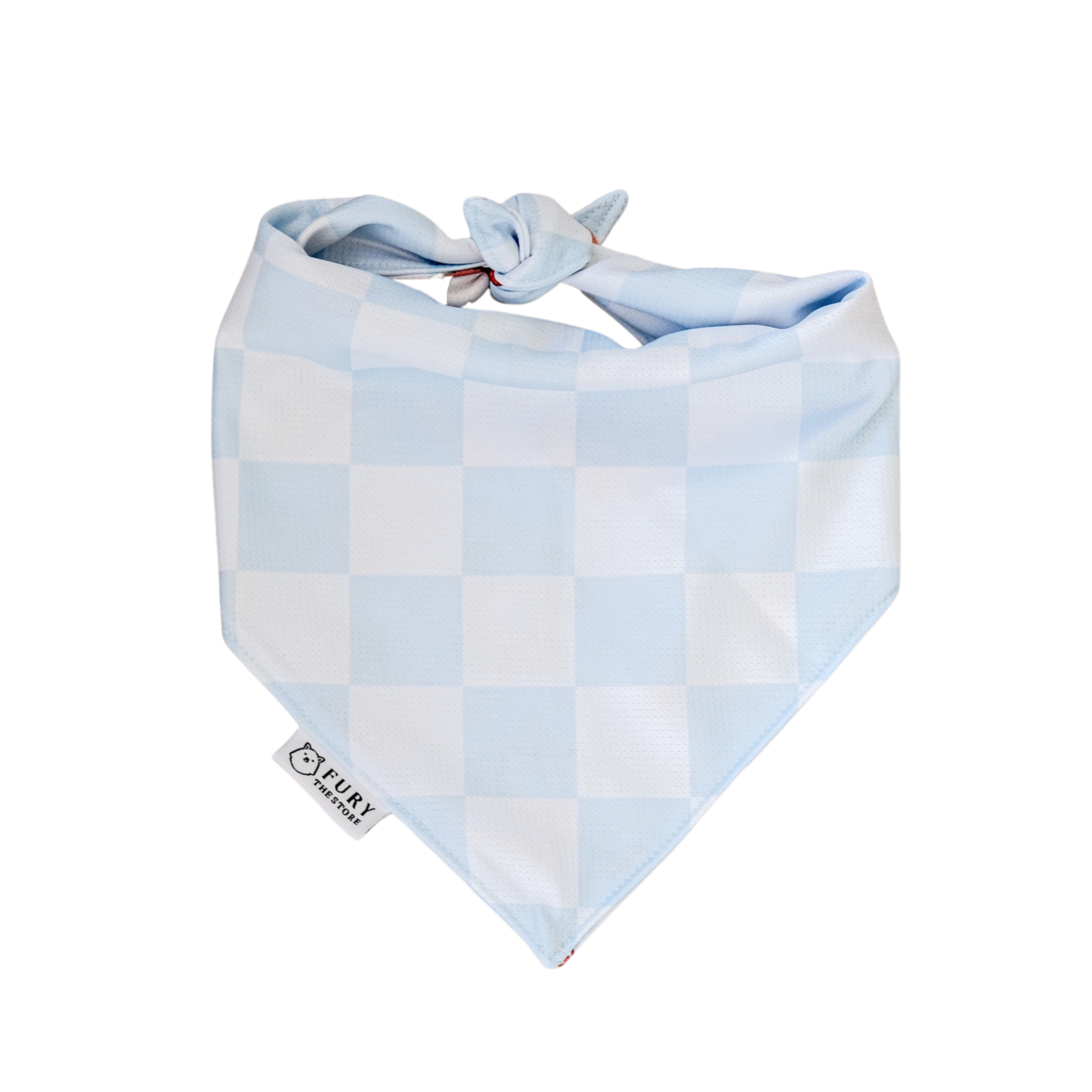 fury&friends in nyc reversible bandana
