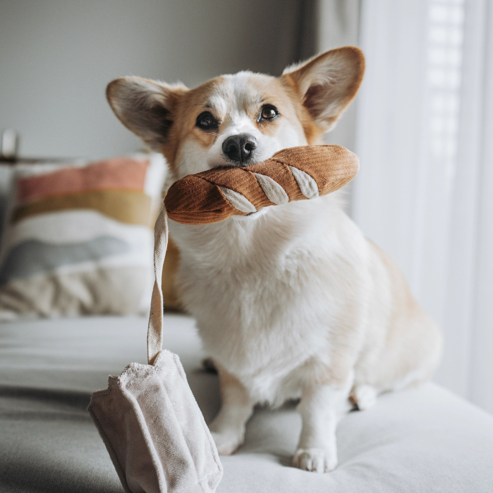 mini baguette toy | lambwolf co