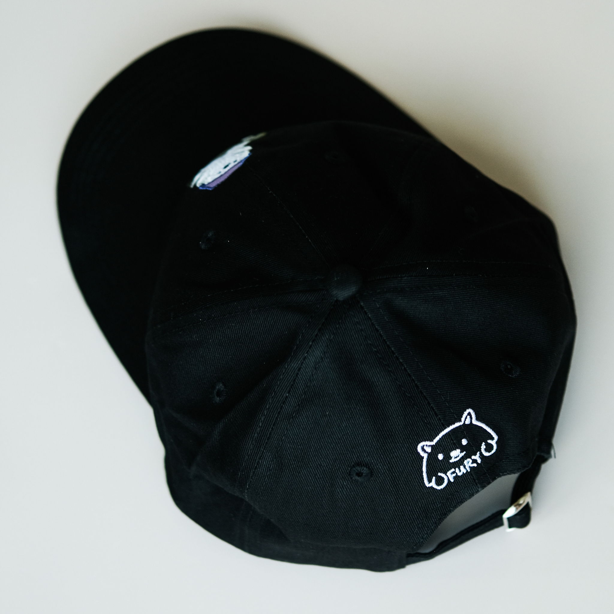 fury the skater boy cap