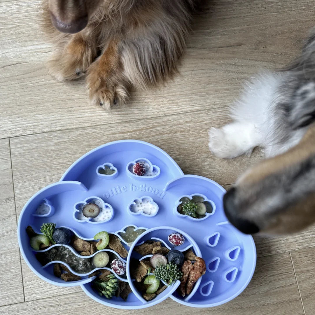 cloud slow feeder bowl | ollie b good