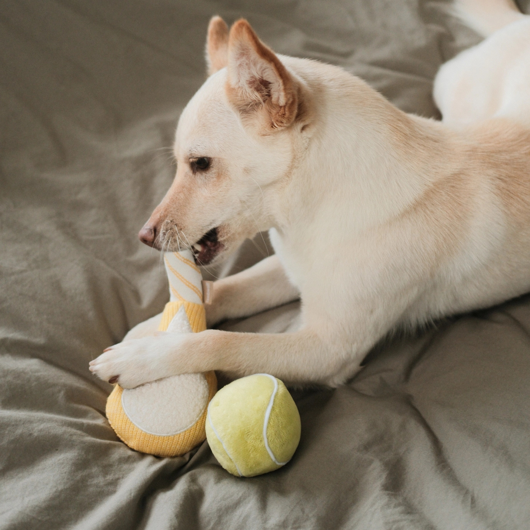tennis pop toy | lambwolf co