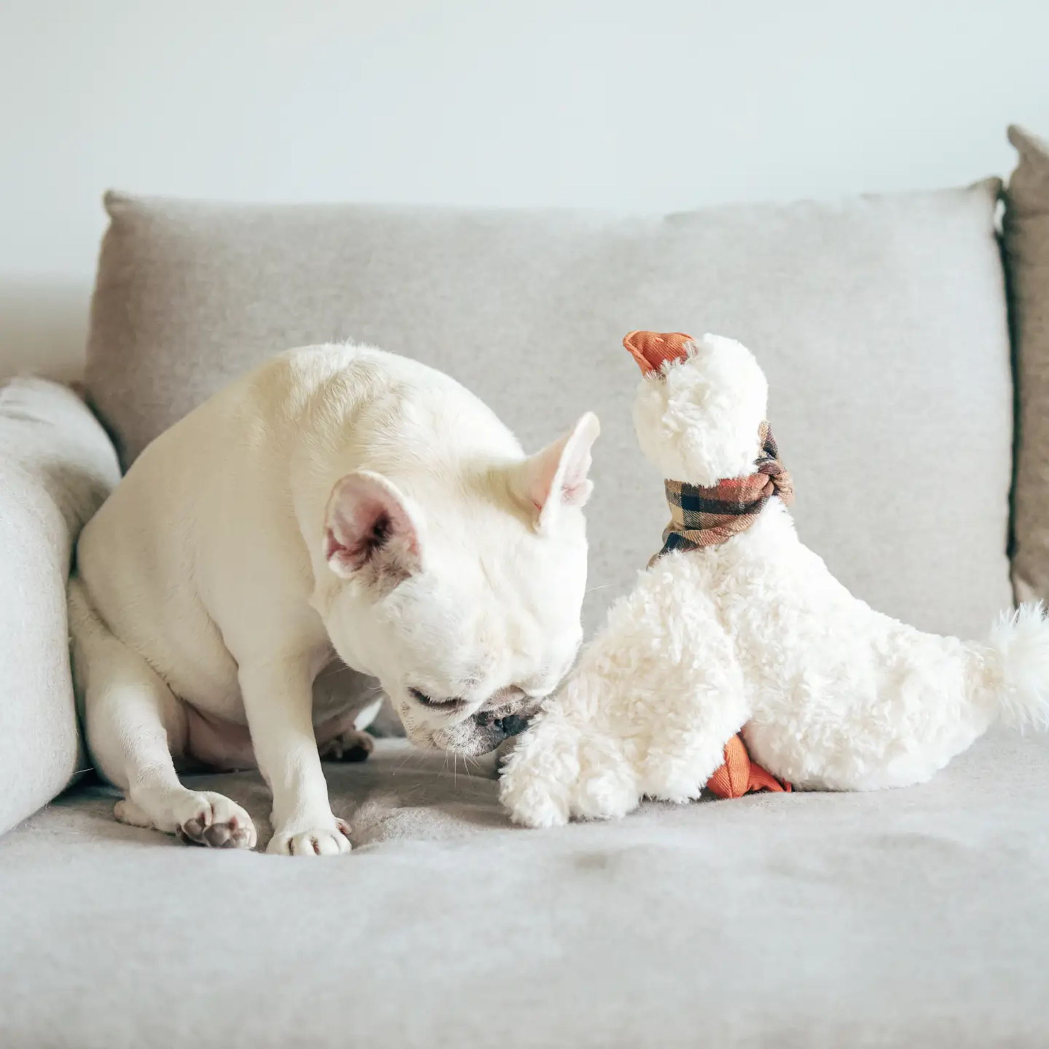 gus the goose toy | lambwolf co