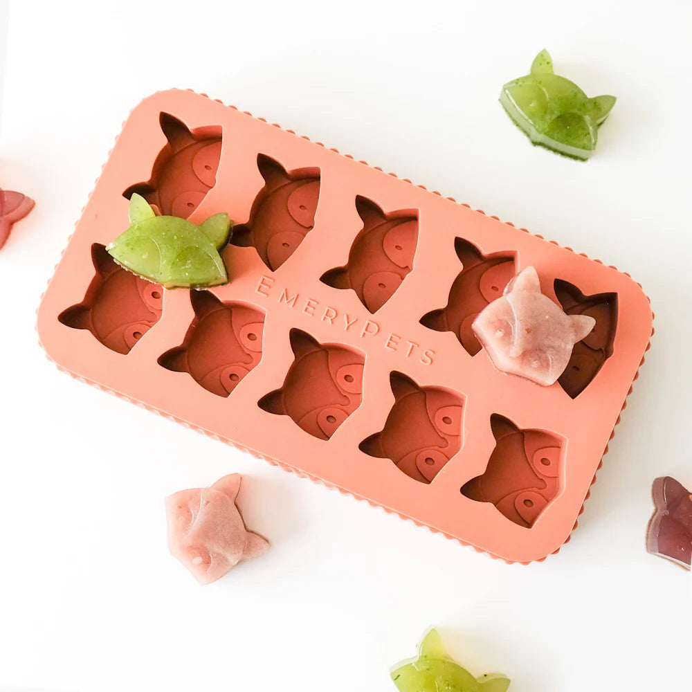 fox + racoon treat mold | emerypets