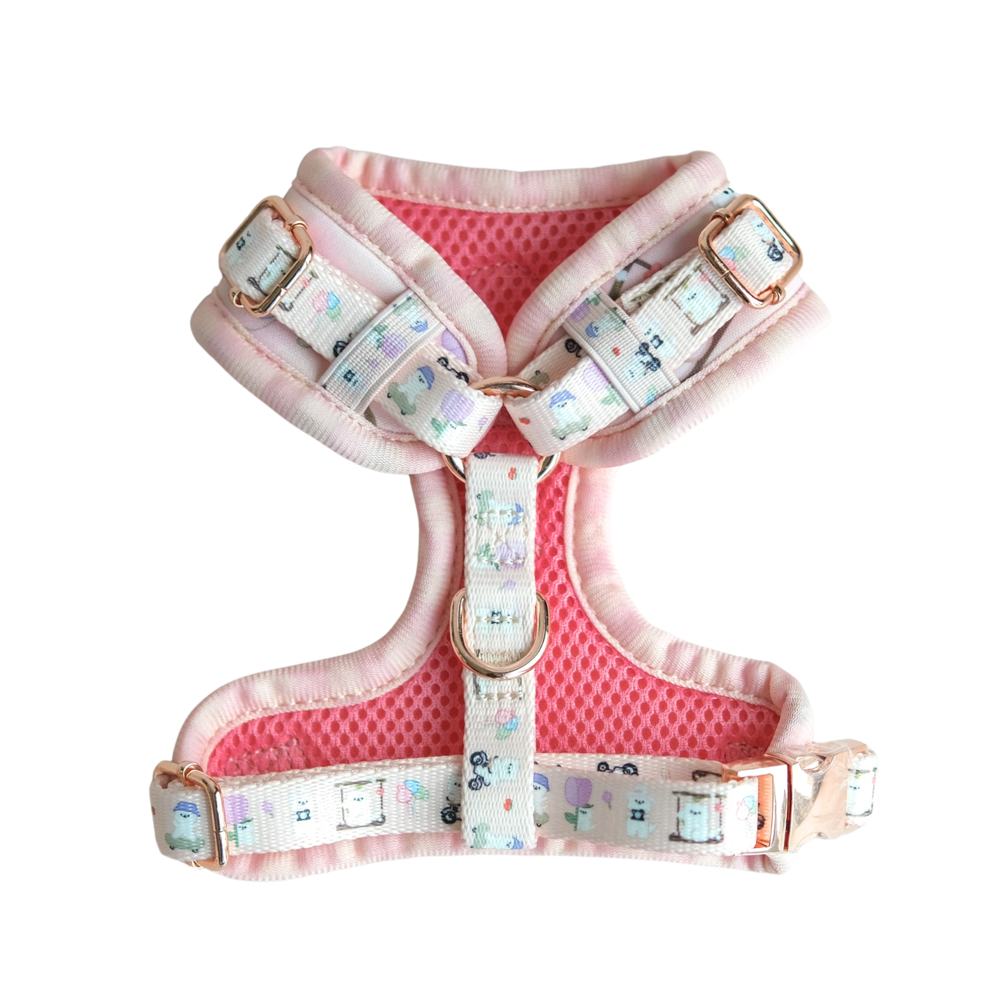 'summit in paris' harness