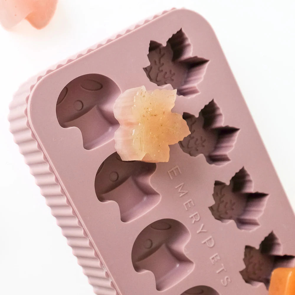 maple leaf + mushroom treat mold | emerypets