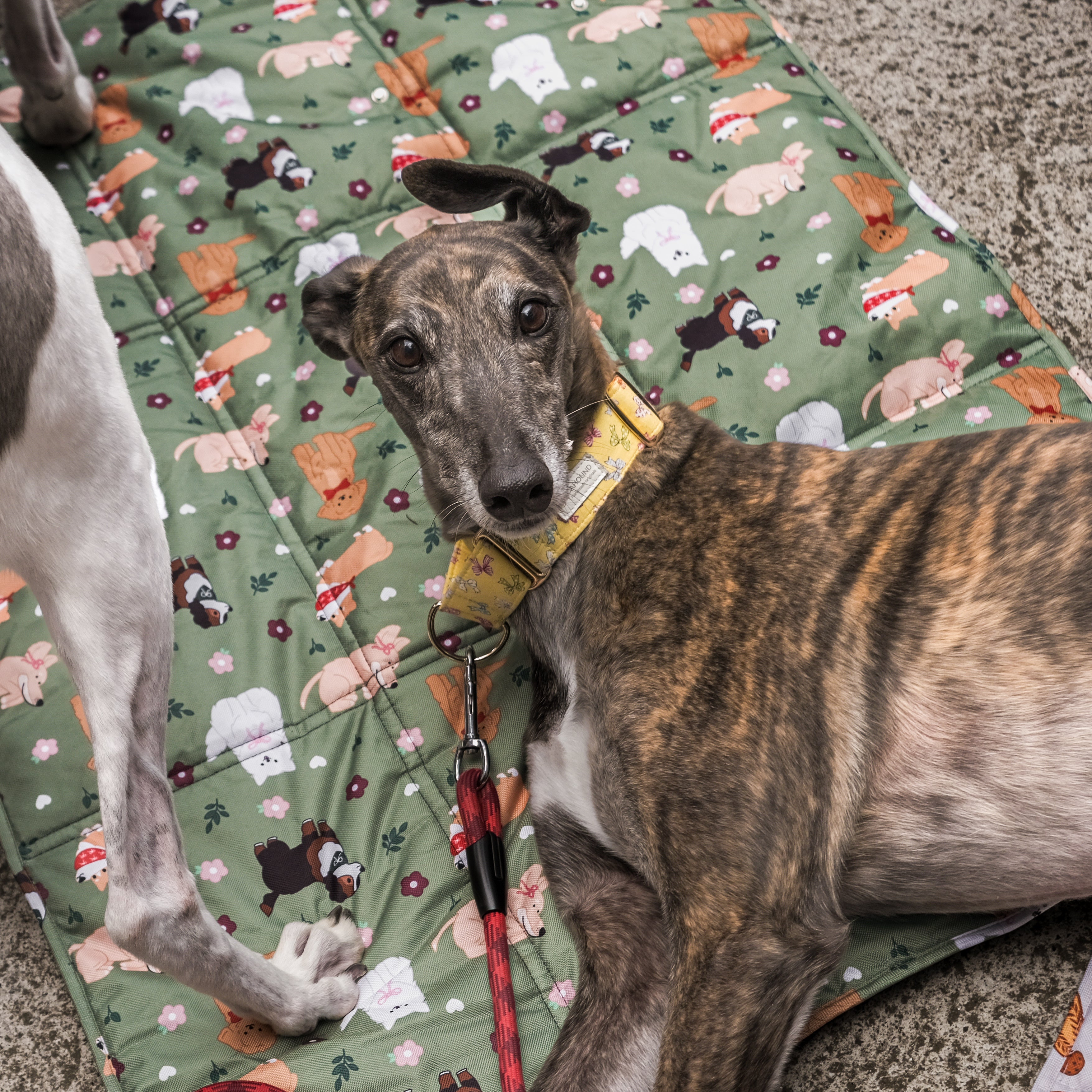 dogs at the park settle mat (bows edition)