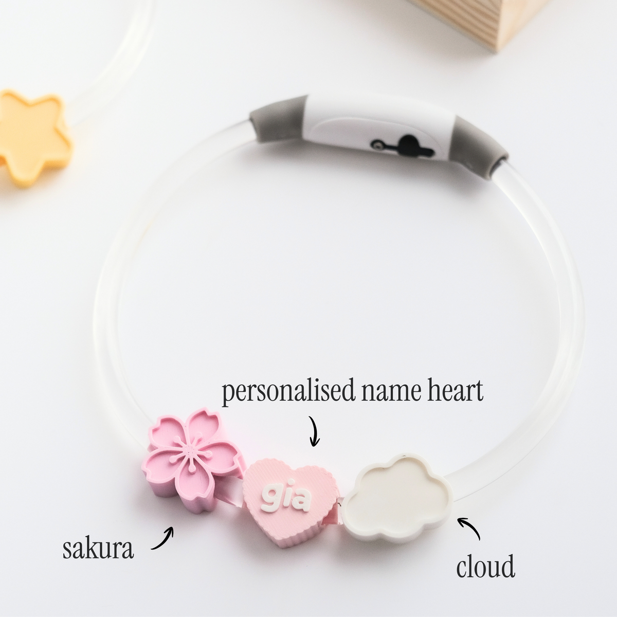 Personalised LED Night Collar Set