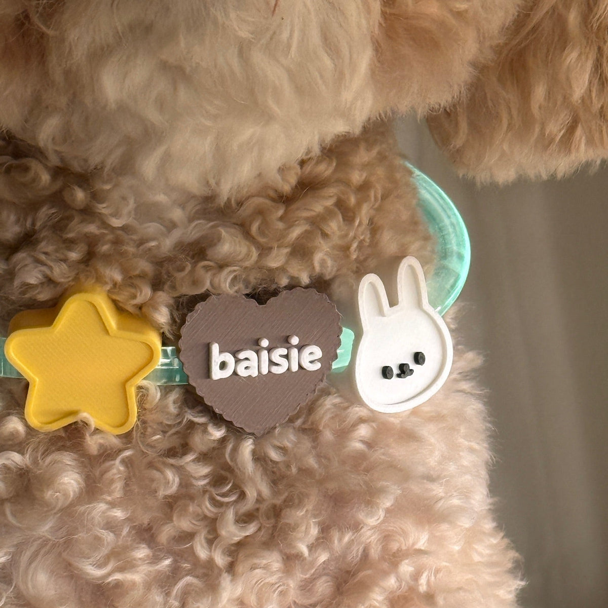 Personalised LED Night Collar Set