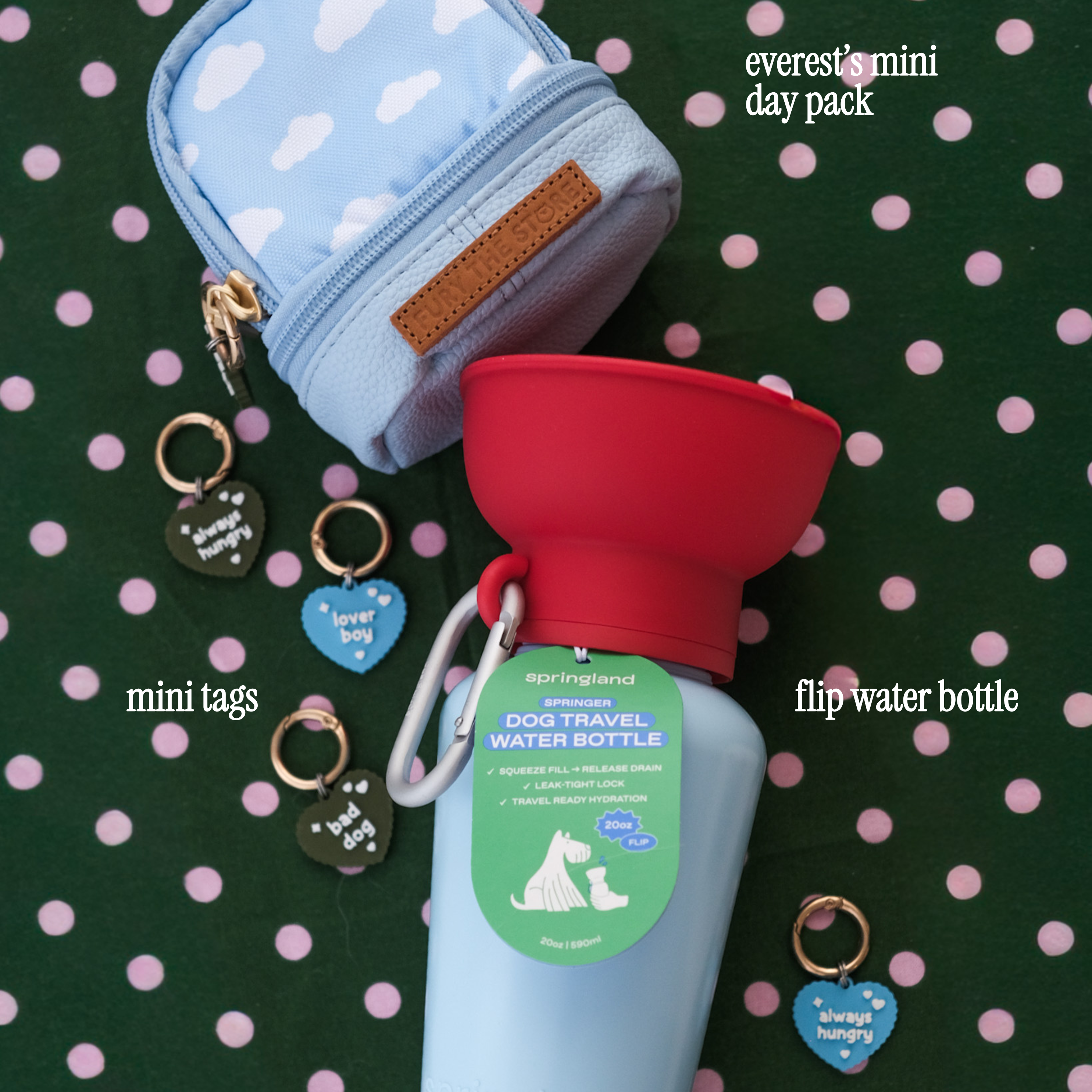 flip travel water bottle | springland pets