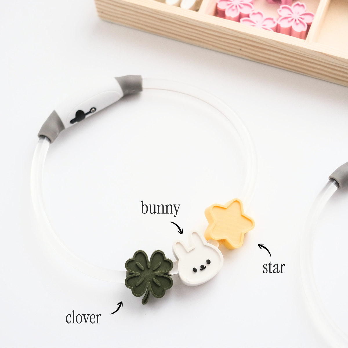Personalised LED Night Collar Set