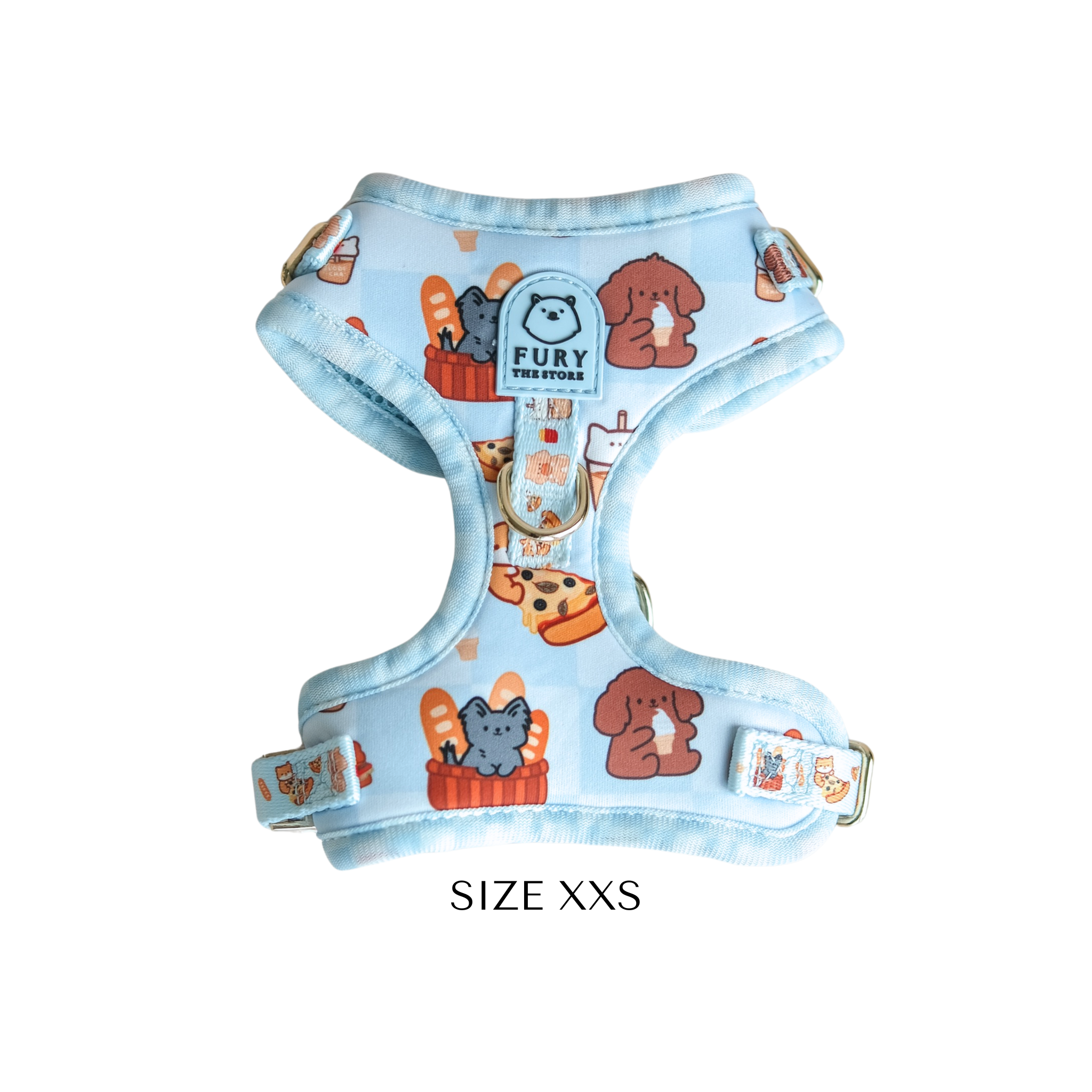 'fury&friends in nyc' harness