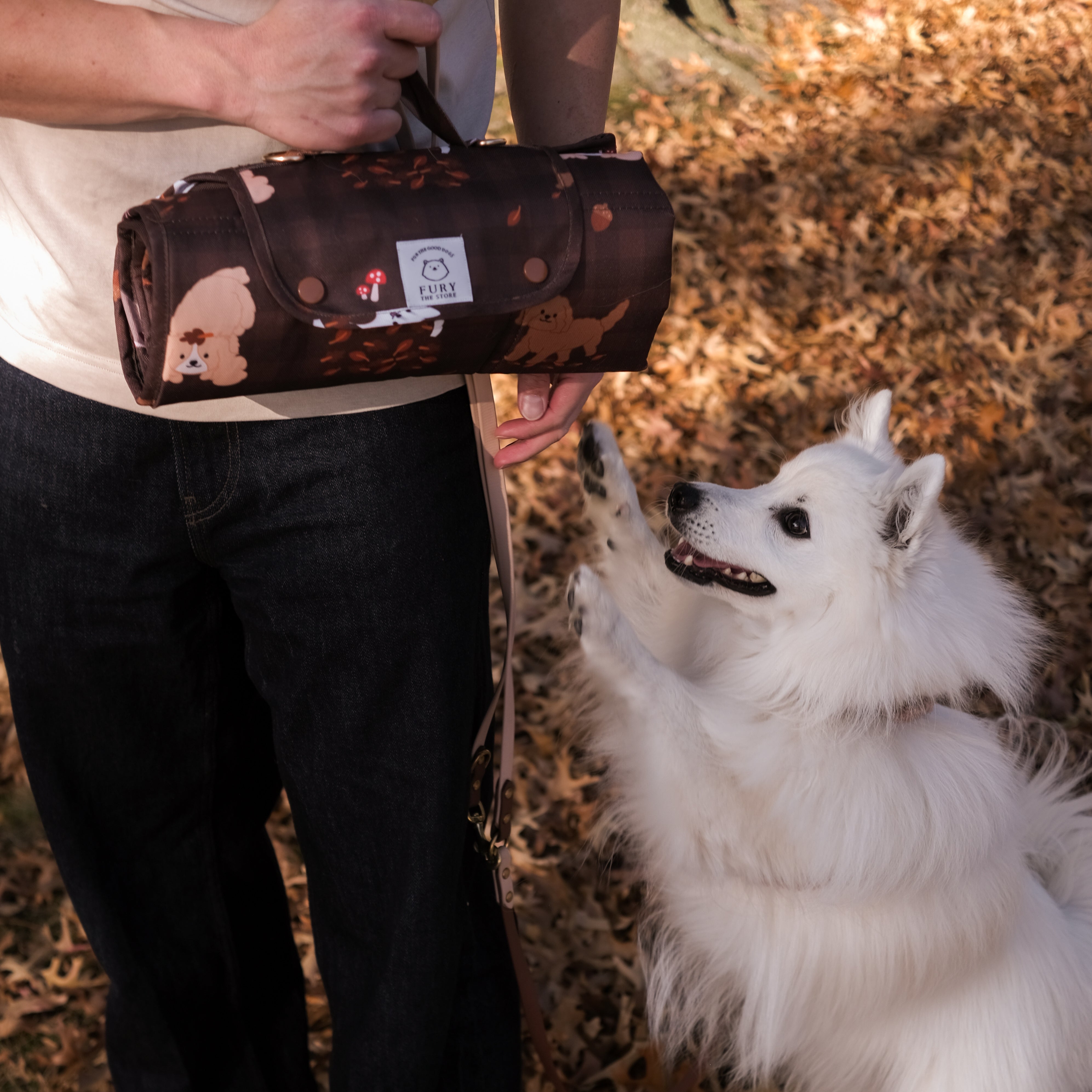 dogs in the woods settle mat (restock in june)