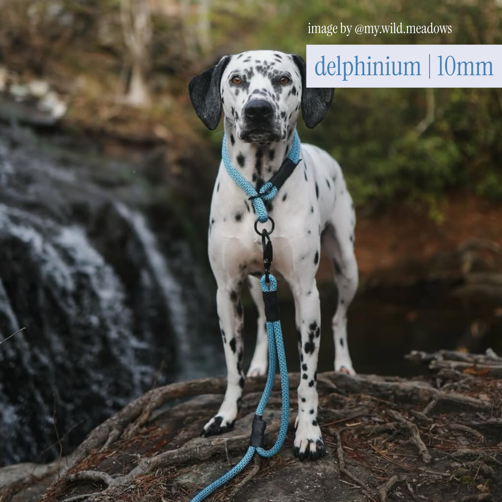 litto howler adjustable hands-free leash | 9/10mm