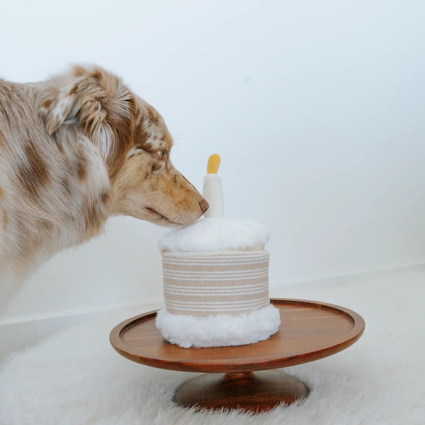 birthday cake snuffle + burrow toy set | lambwolf co