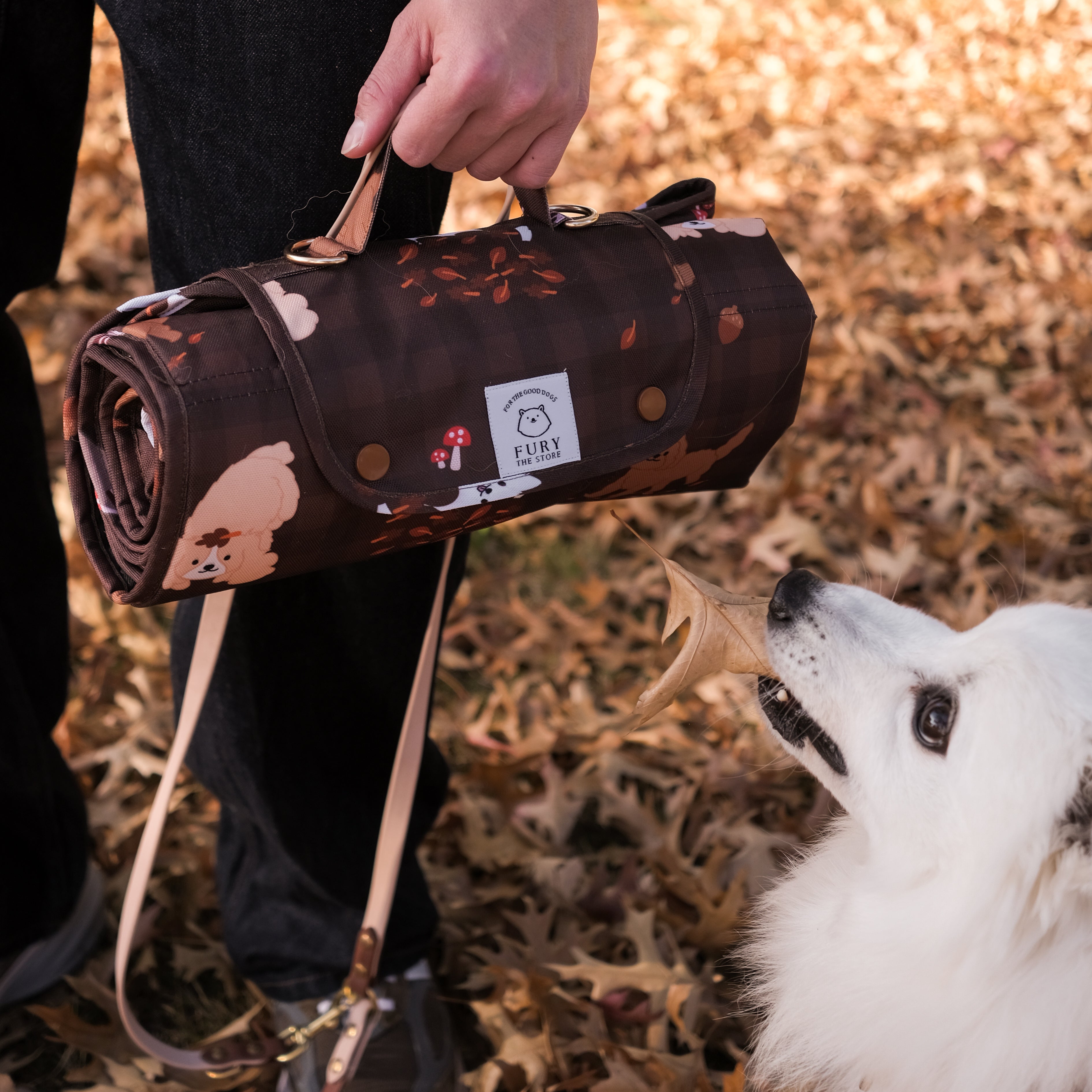 dogs in the woods settle mat (restock in june)